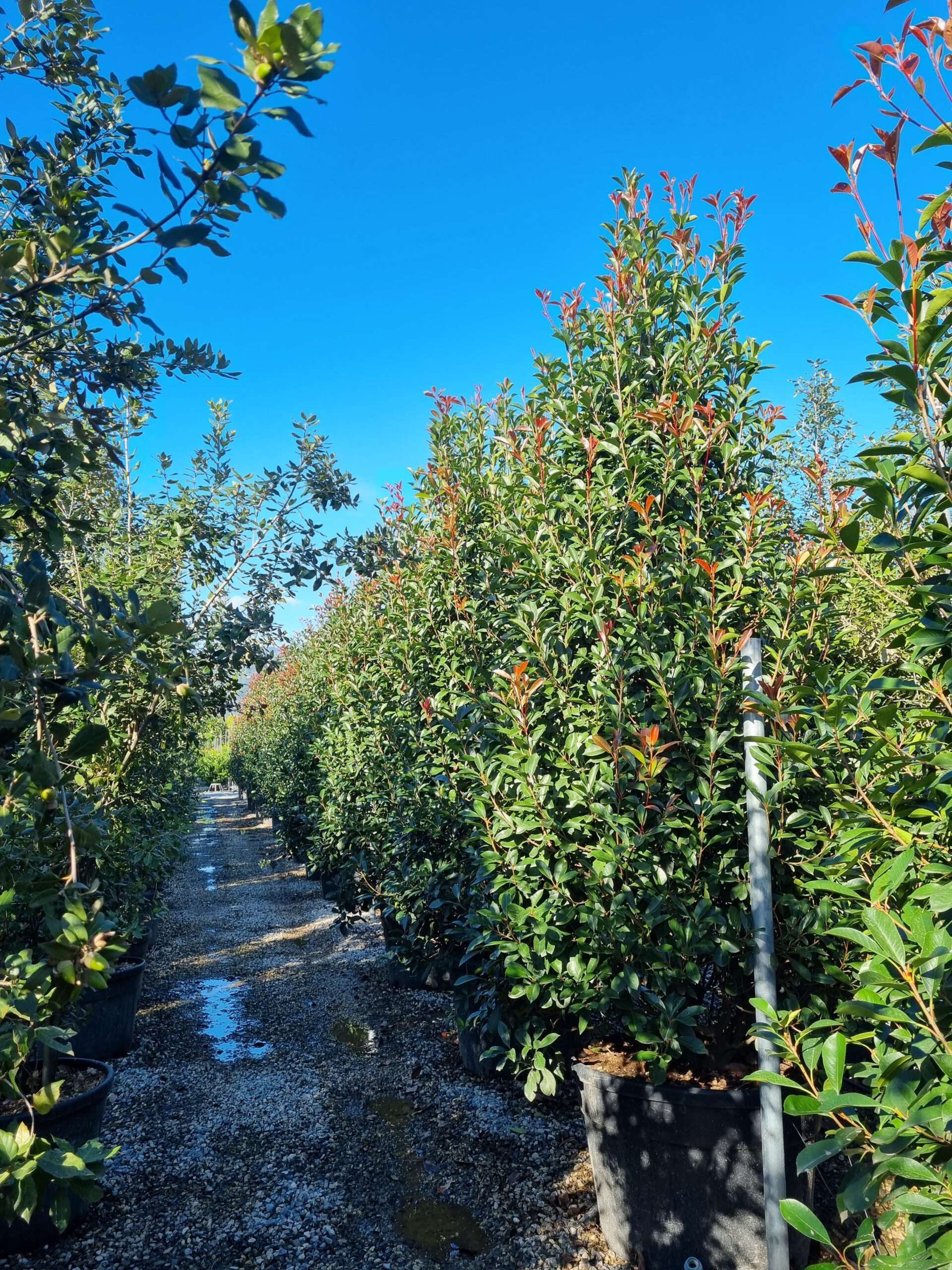 1633962469 scaled 29b87e4f