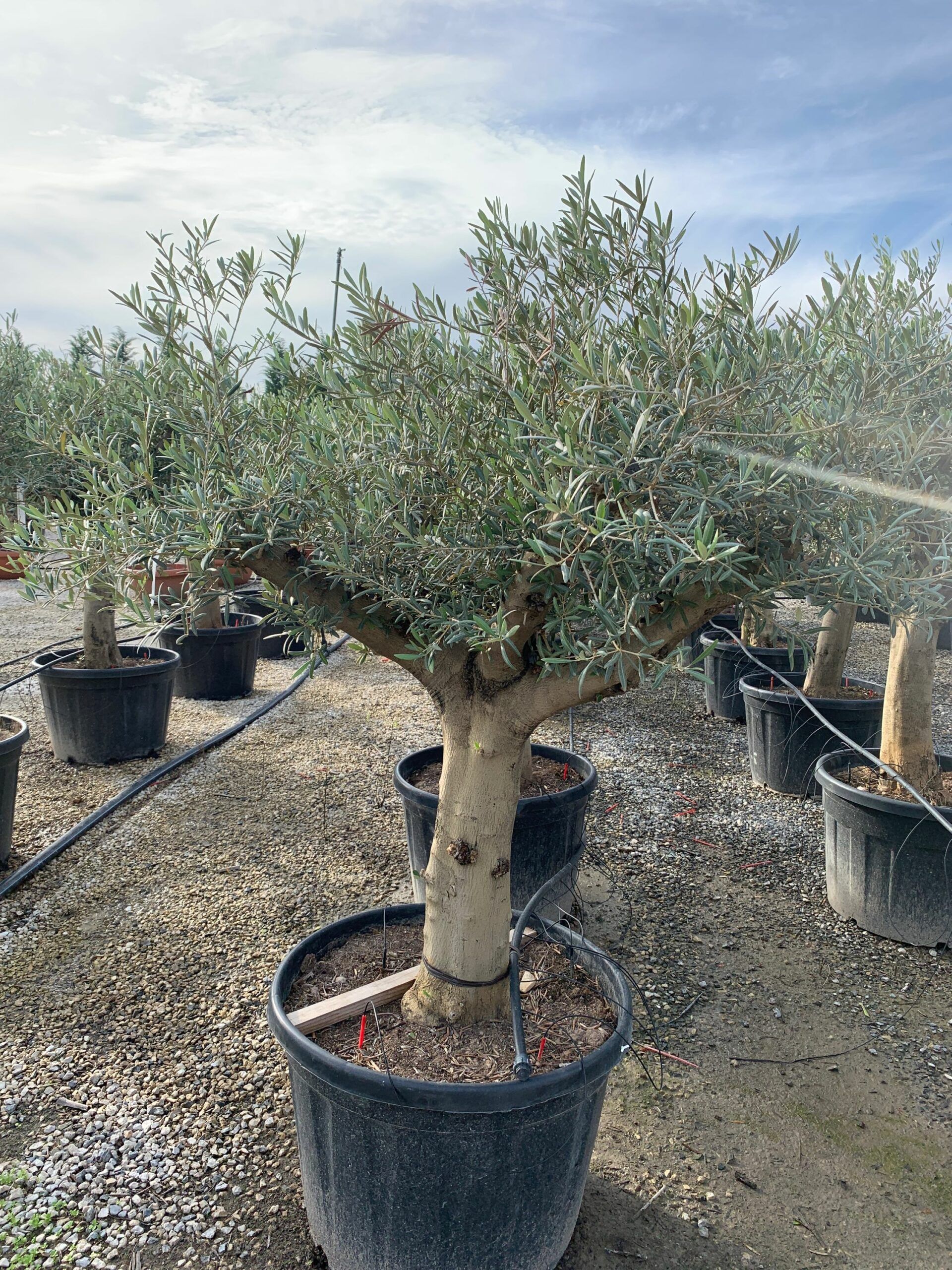 1635169479 scaled 29a04c44