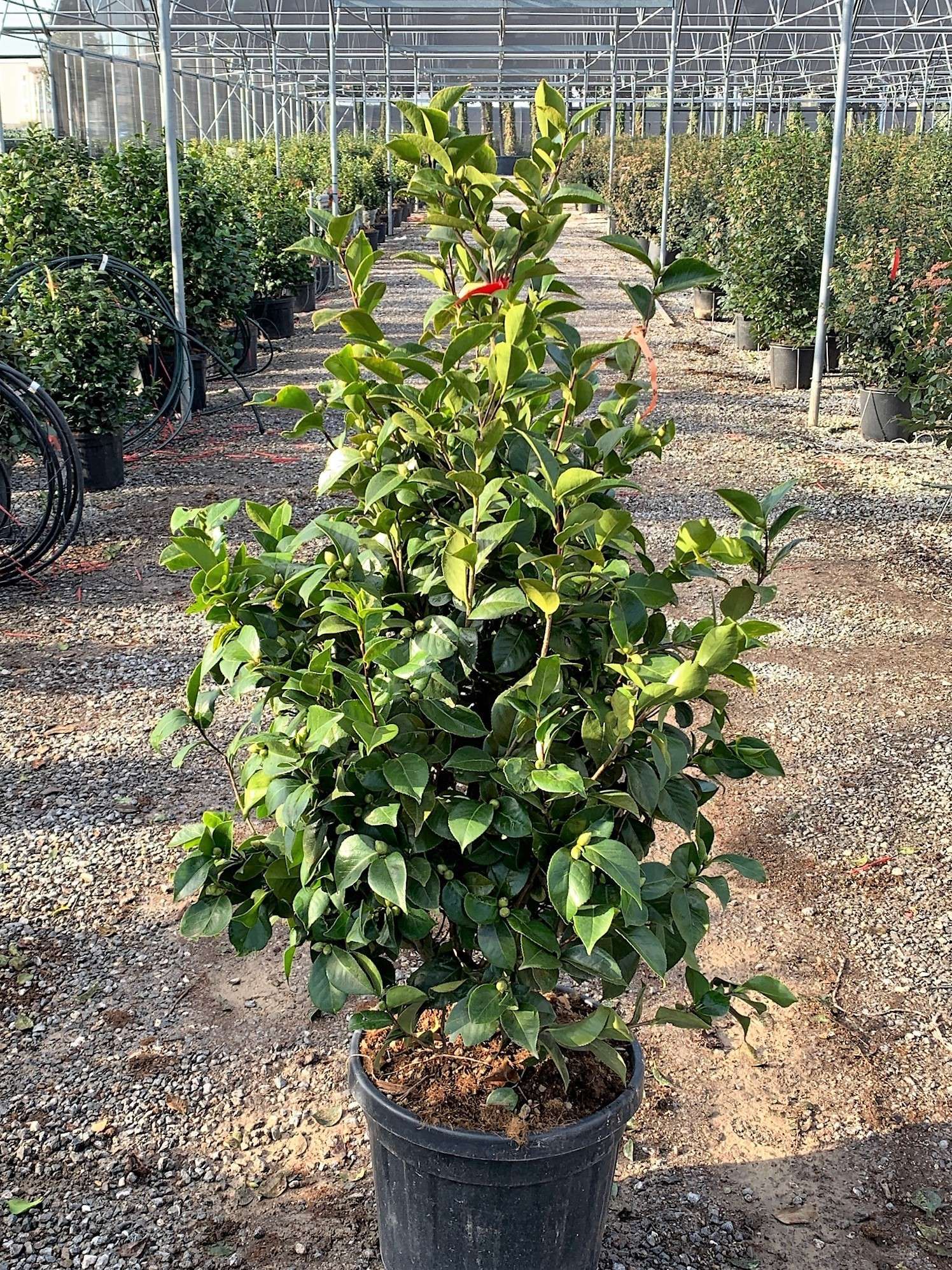 1640272214 01837e2432663c71993d54ef70b2ef4c65a5d92ab4 29919e38