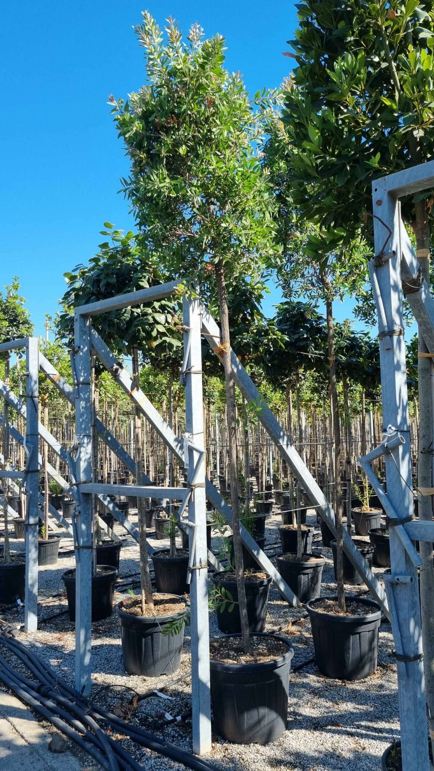 1657896791 scaled 297fc28d