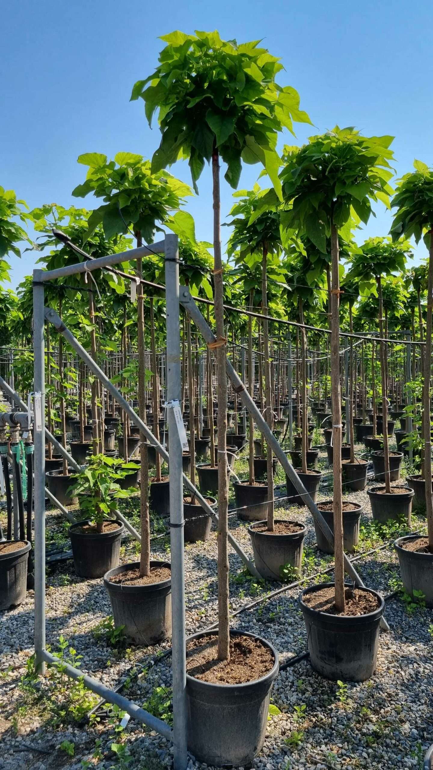 1658131223 scaled 29682cde