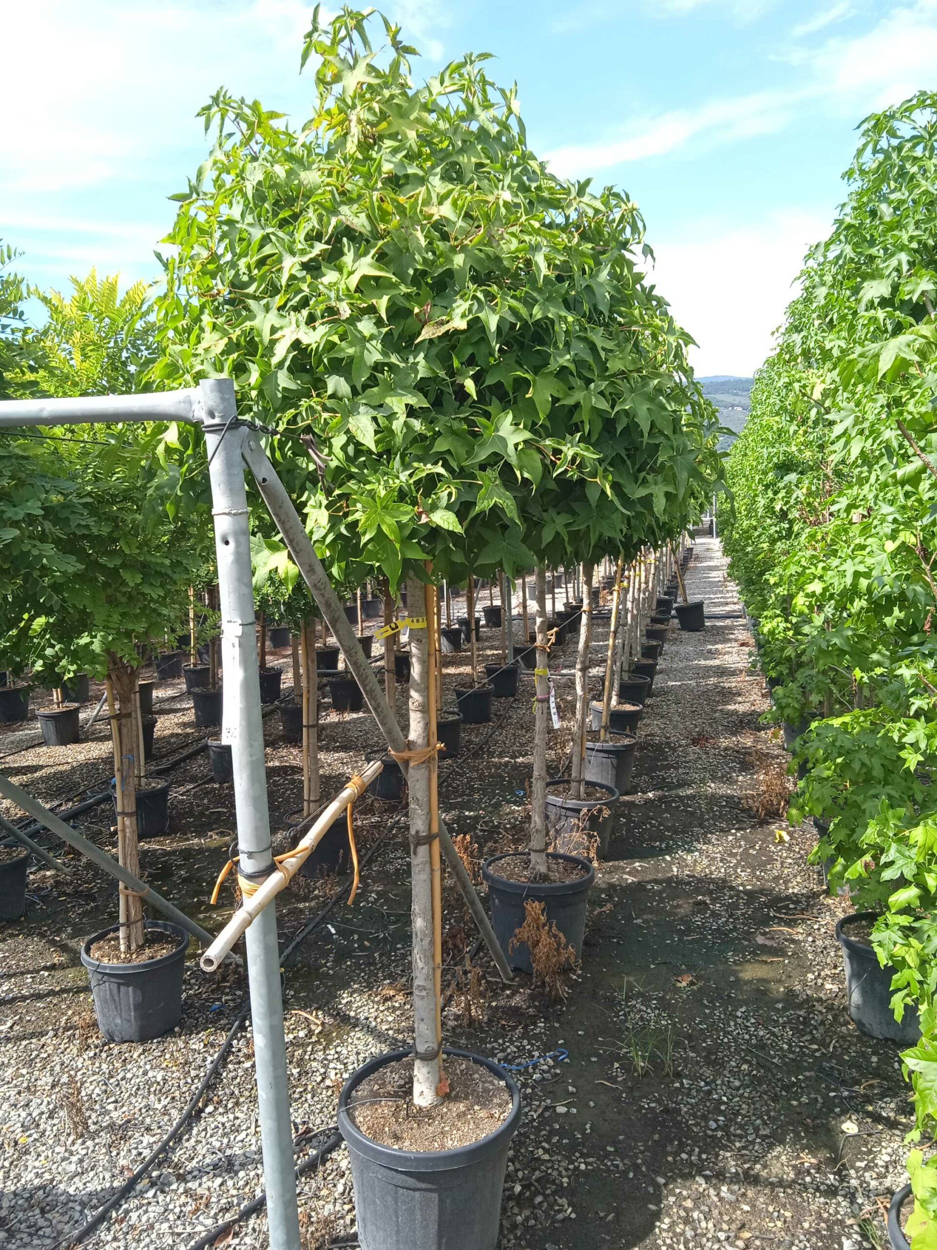 1662039710 scaled 291378a3