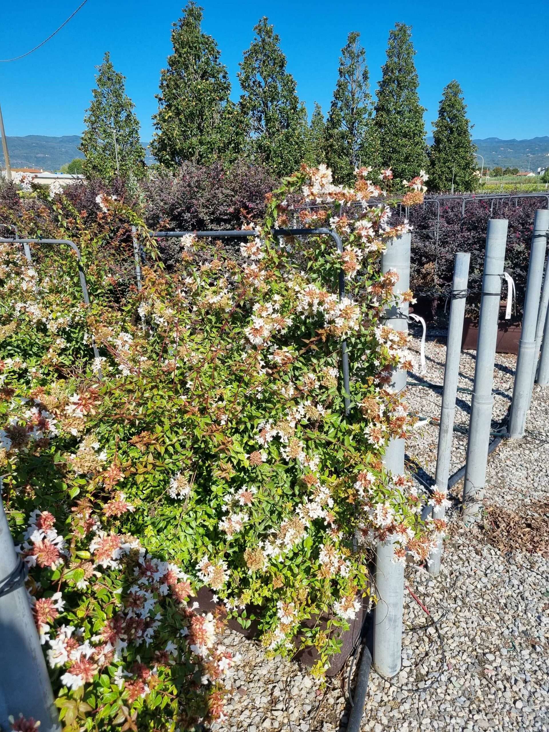 1663663581 scaled 296b6866