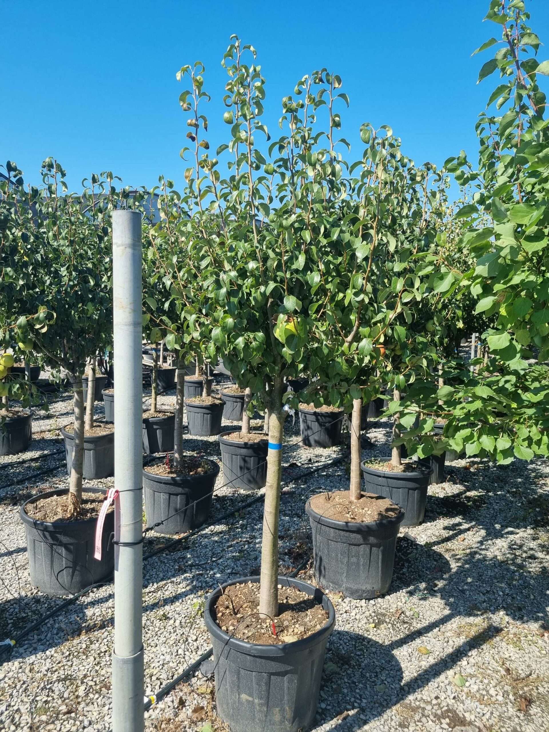 1692694399 scaled 290ad47d