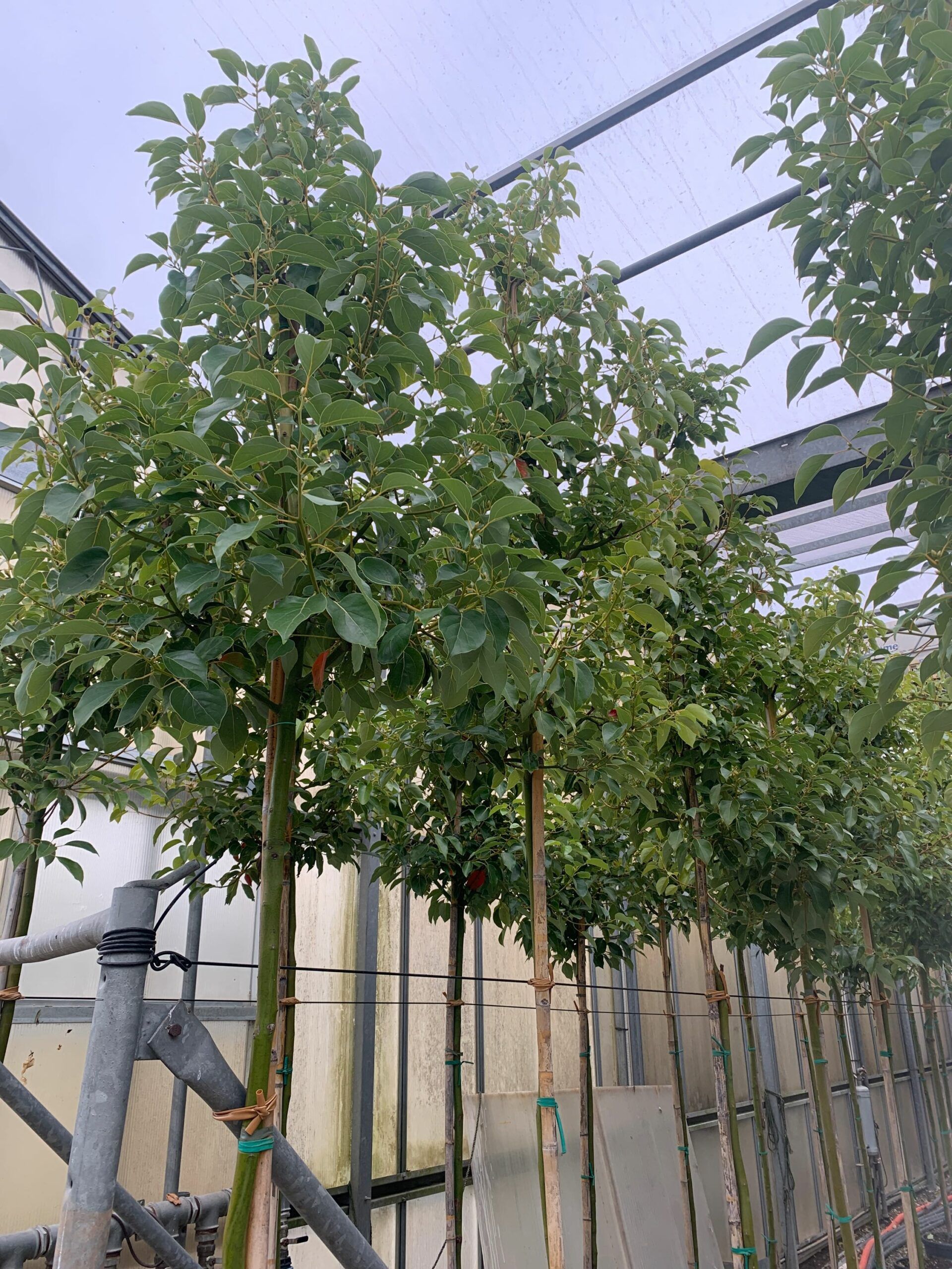 1637057400 scaled 2a1e209b