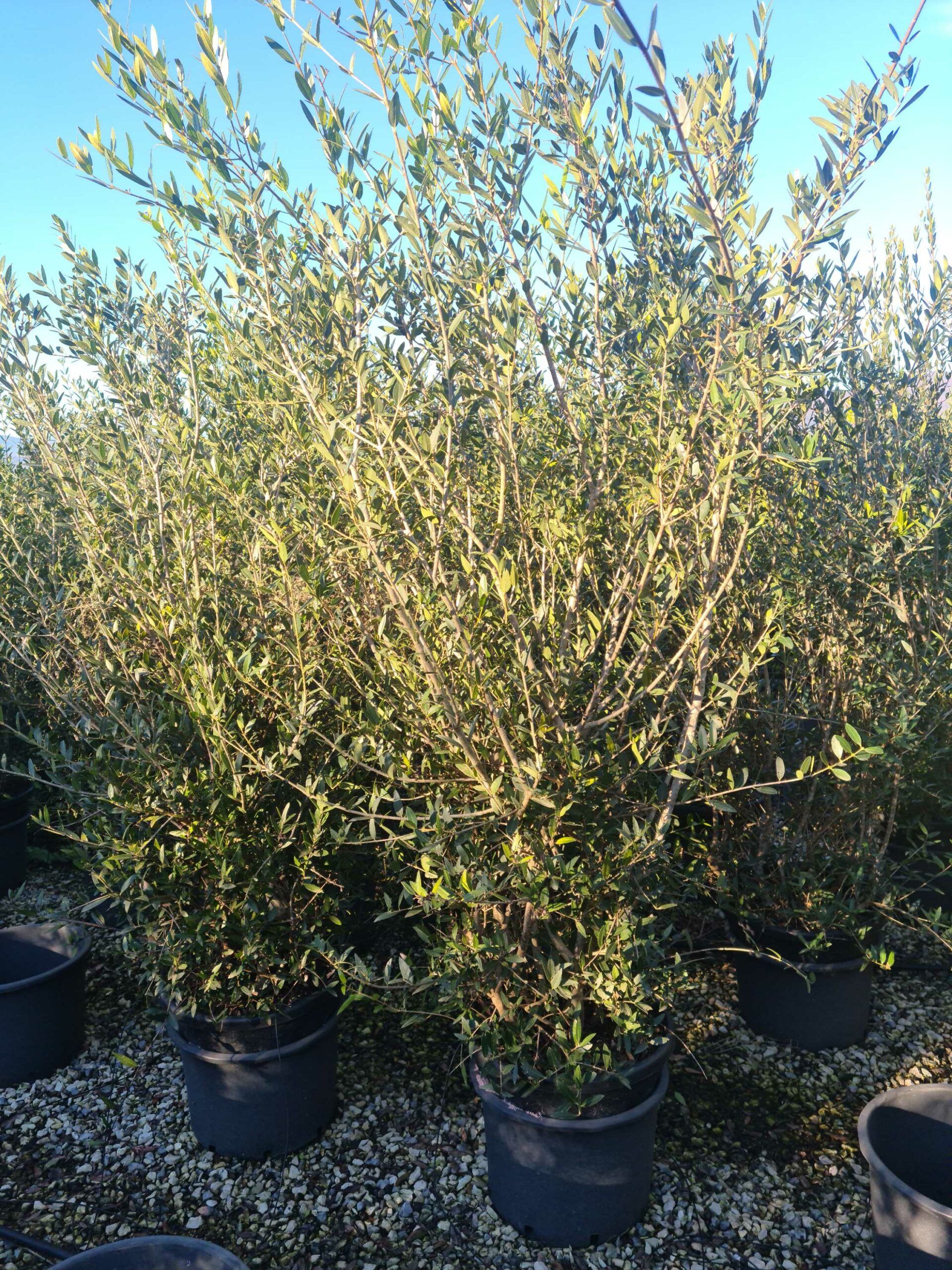 1639663275 scaled 2a8bb936