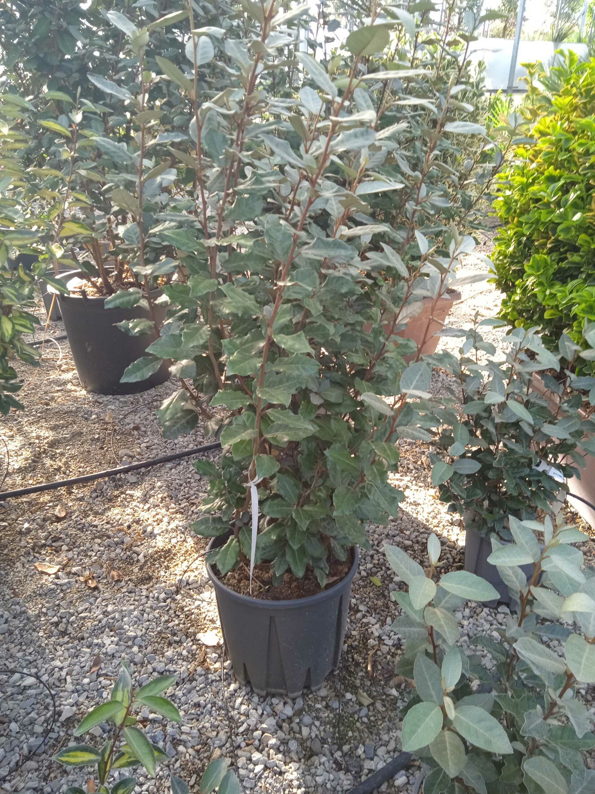 1662445896 scaled 2aaa3d80