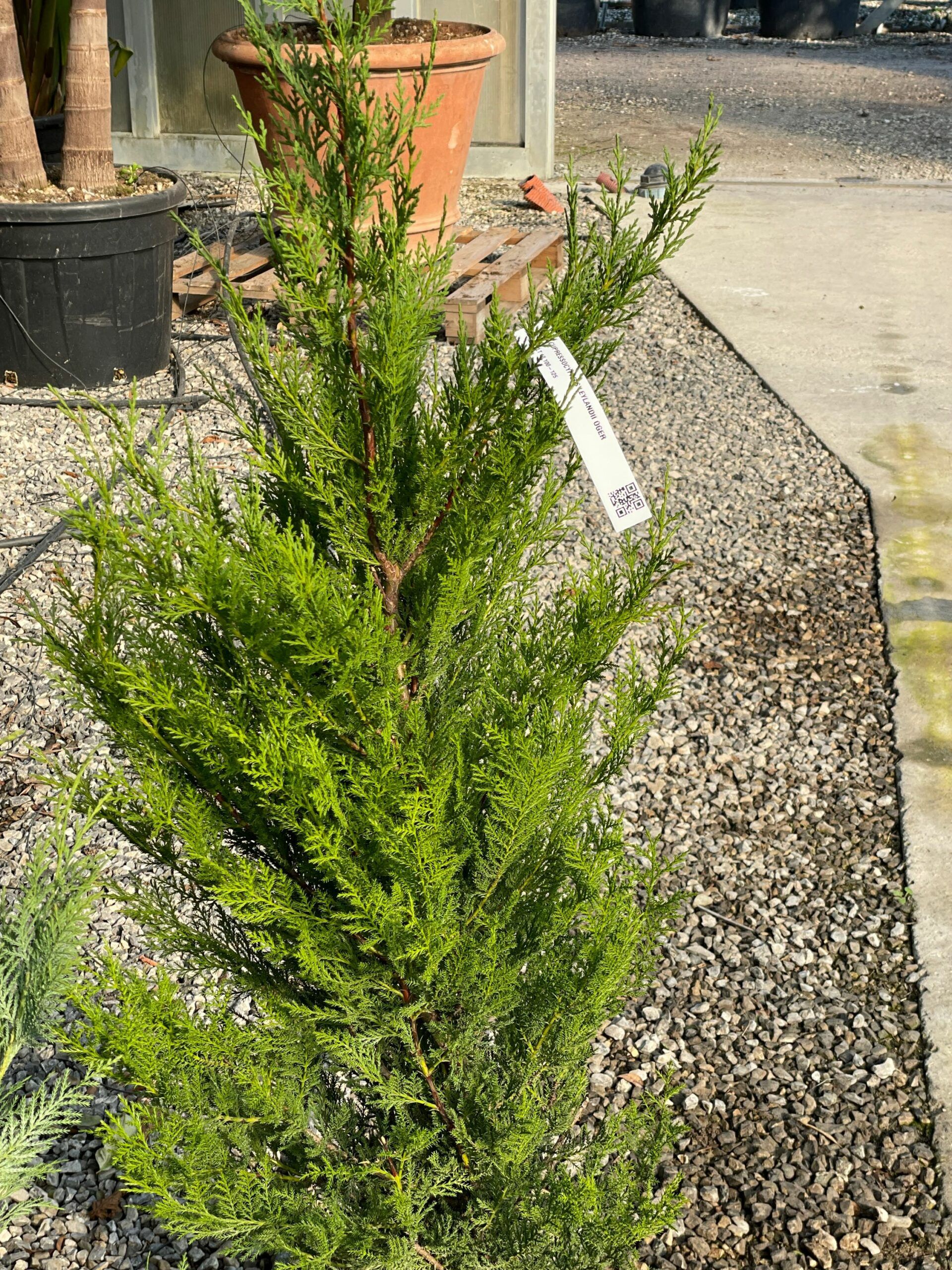 1676366746 scaled 2ac36db8