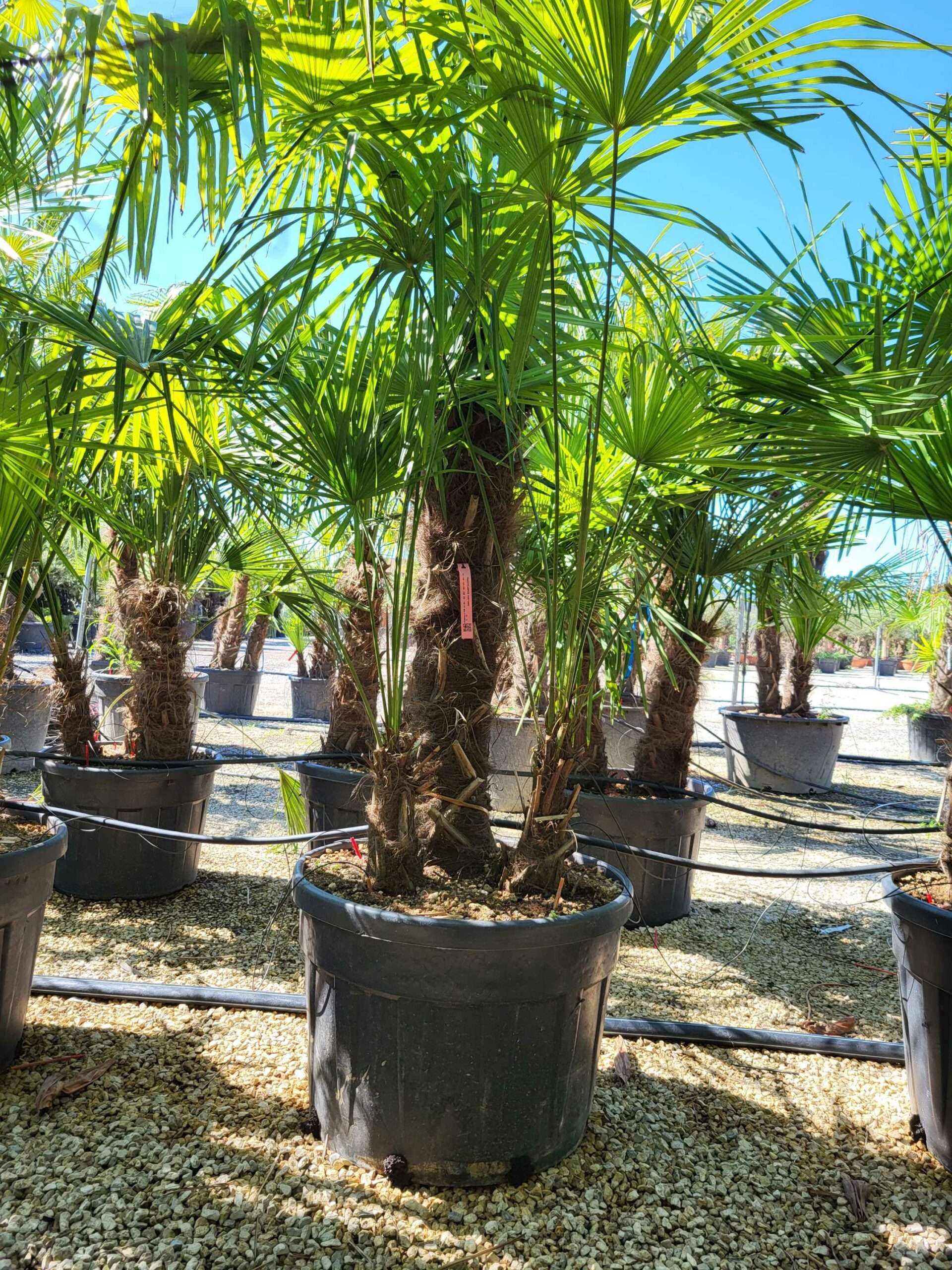 1691483953 scaled 2aaf34c5