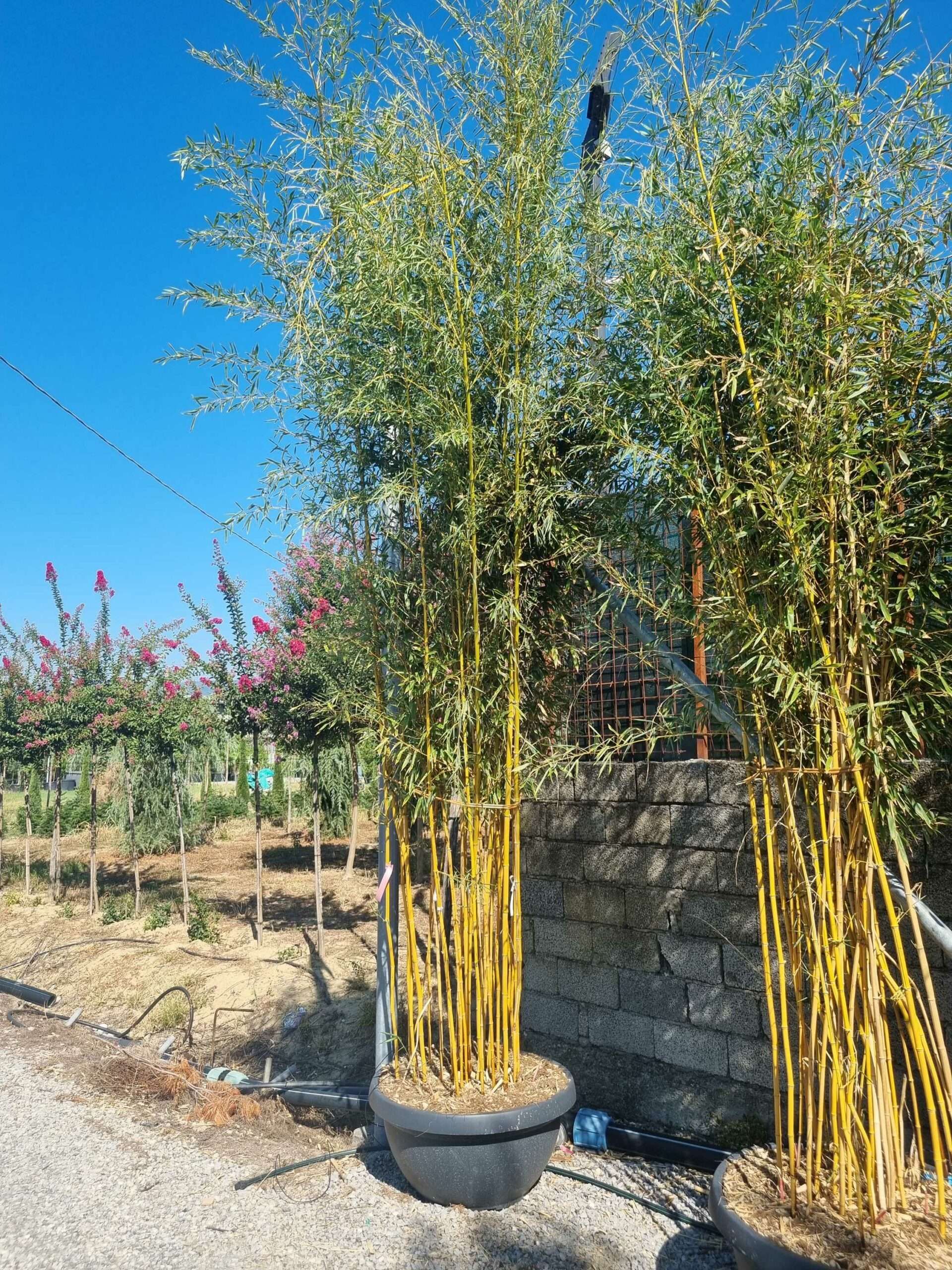 1692693813 scaled 2aeb7854