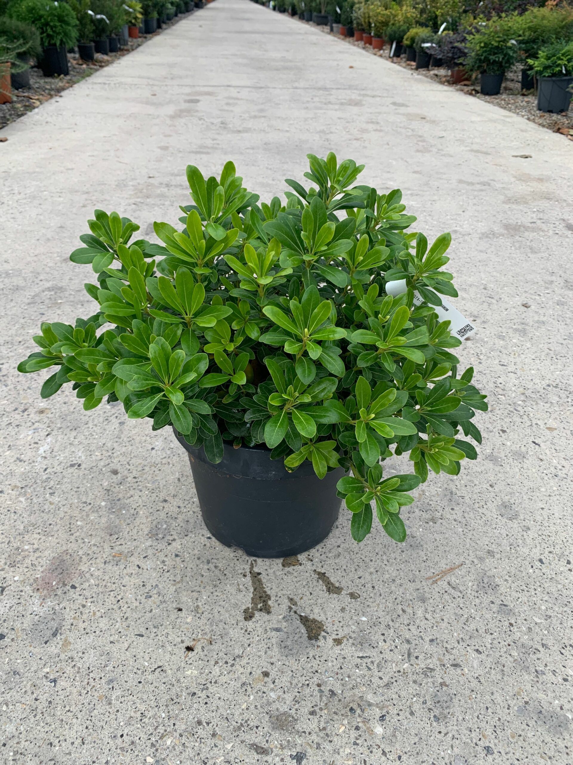 1634825790 scaled 2bc28db8