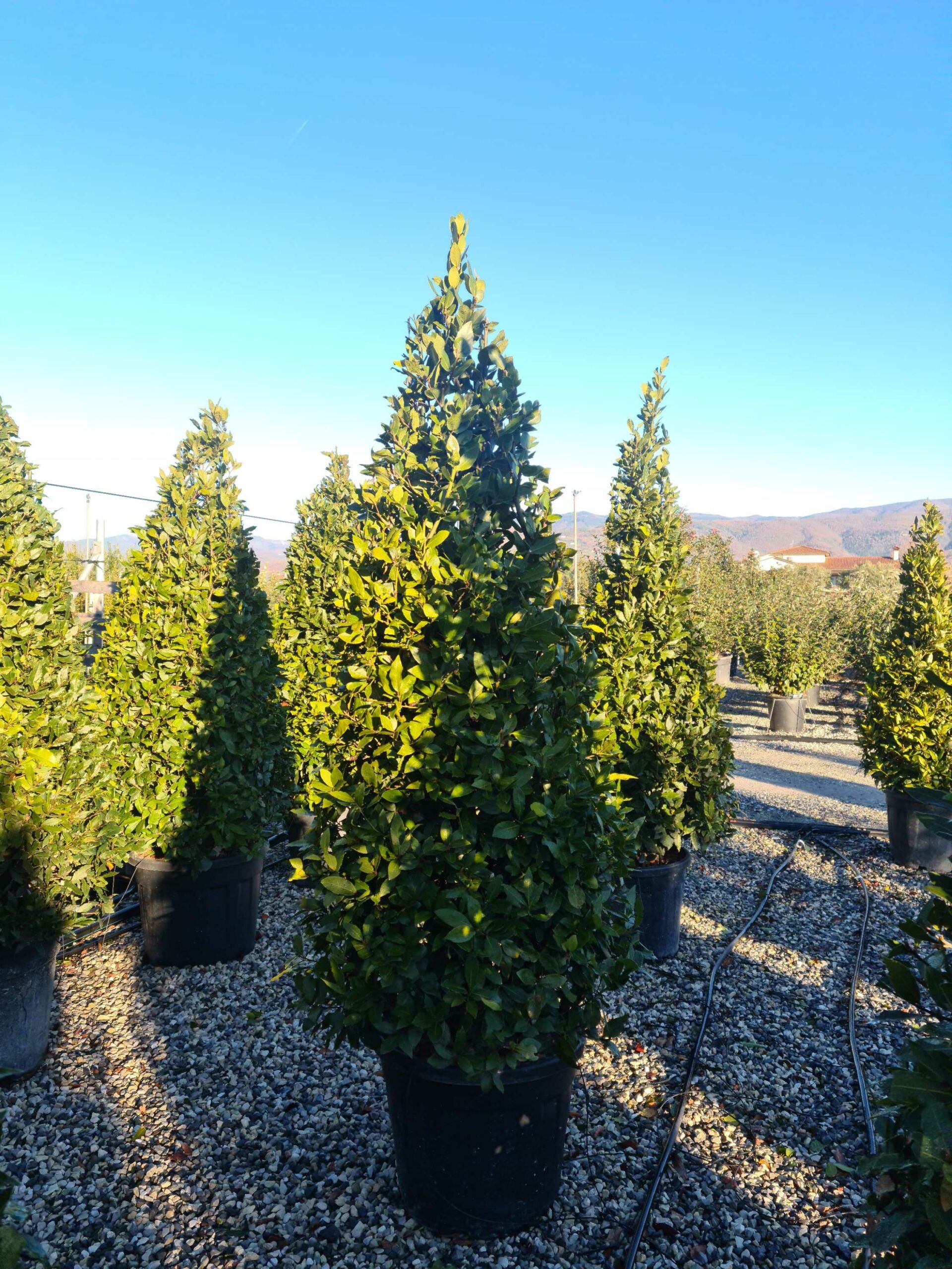 1639728880 scaled 2be411e1