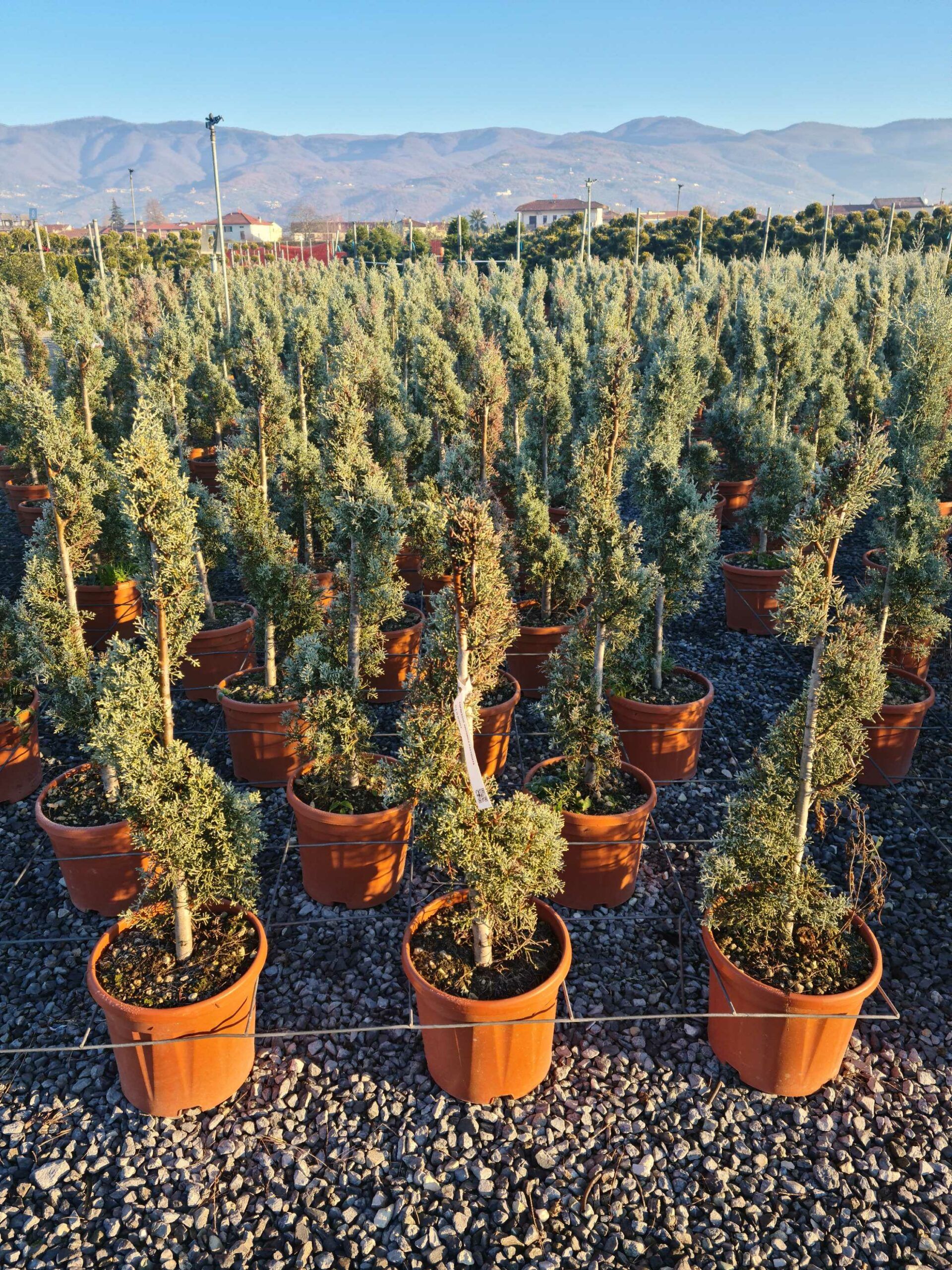 1639814119 scaled 2b1609f5