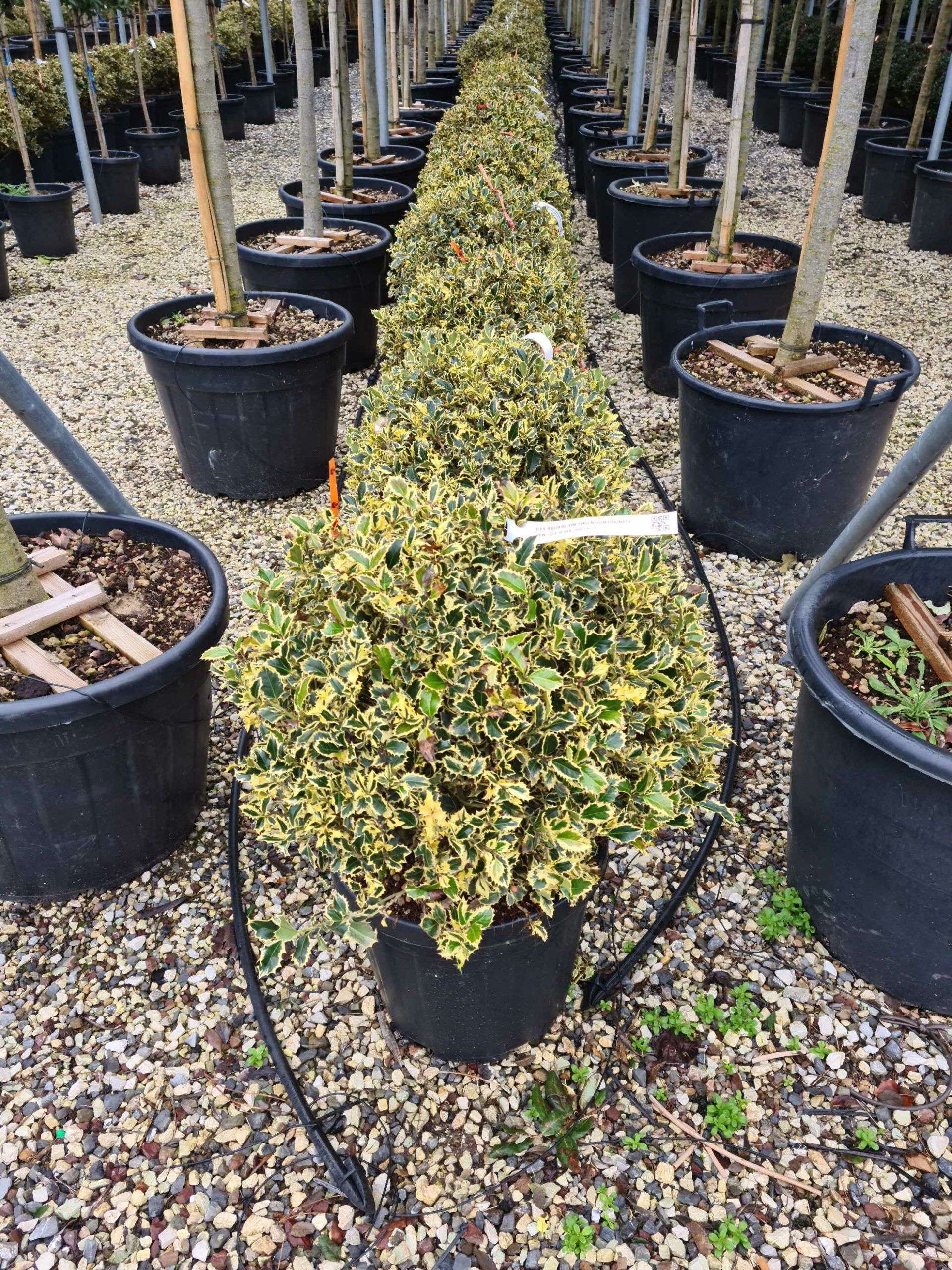 1641287790 scaled 2b033f0b