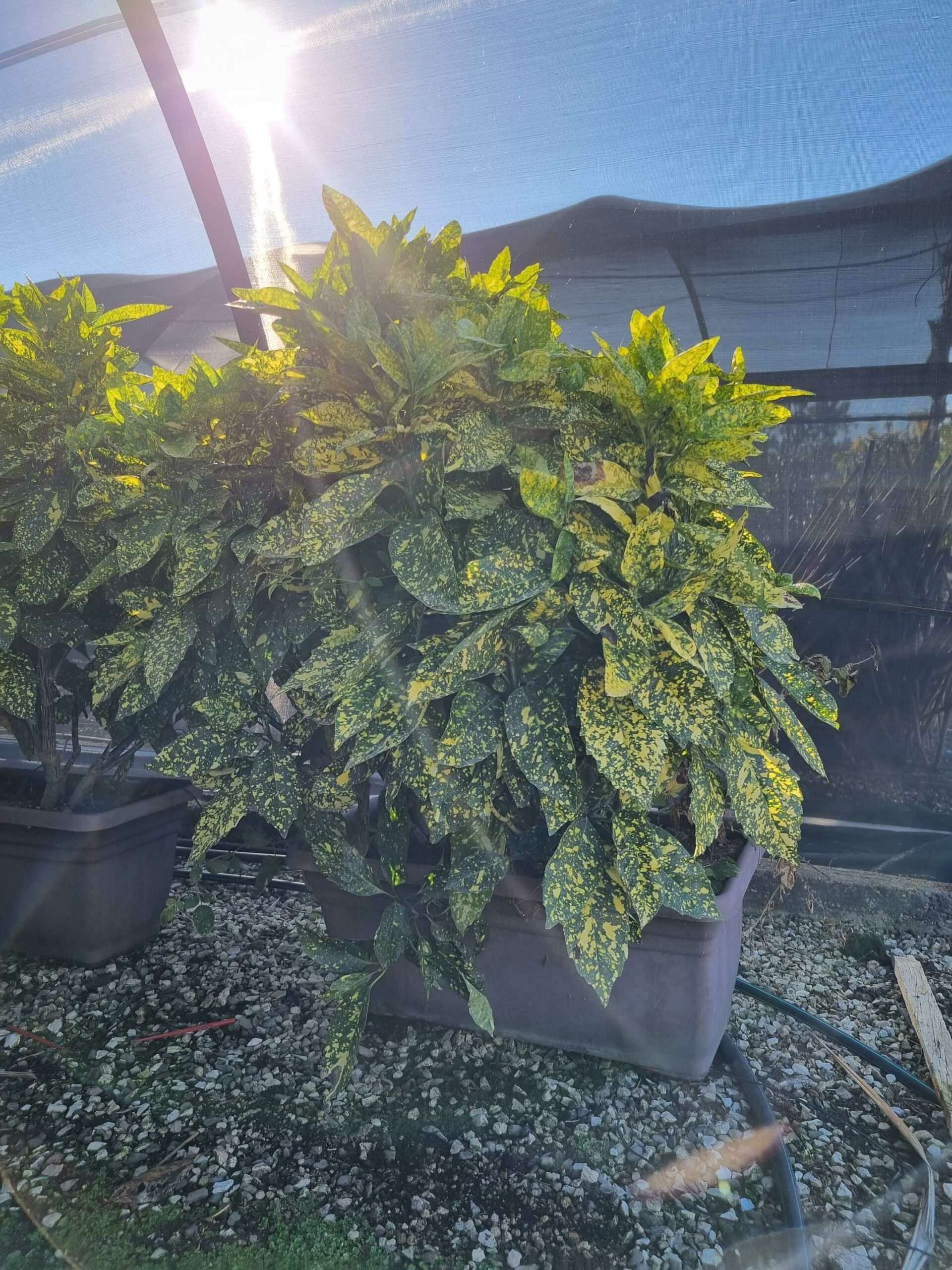 1664979454 scaled 2bb5f6b8