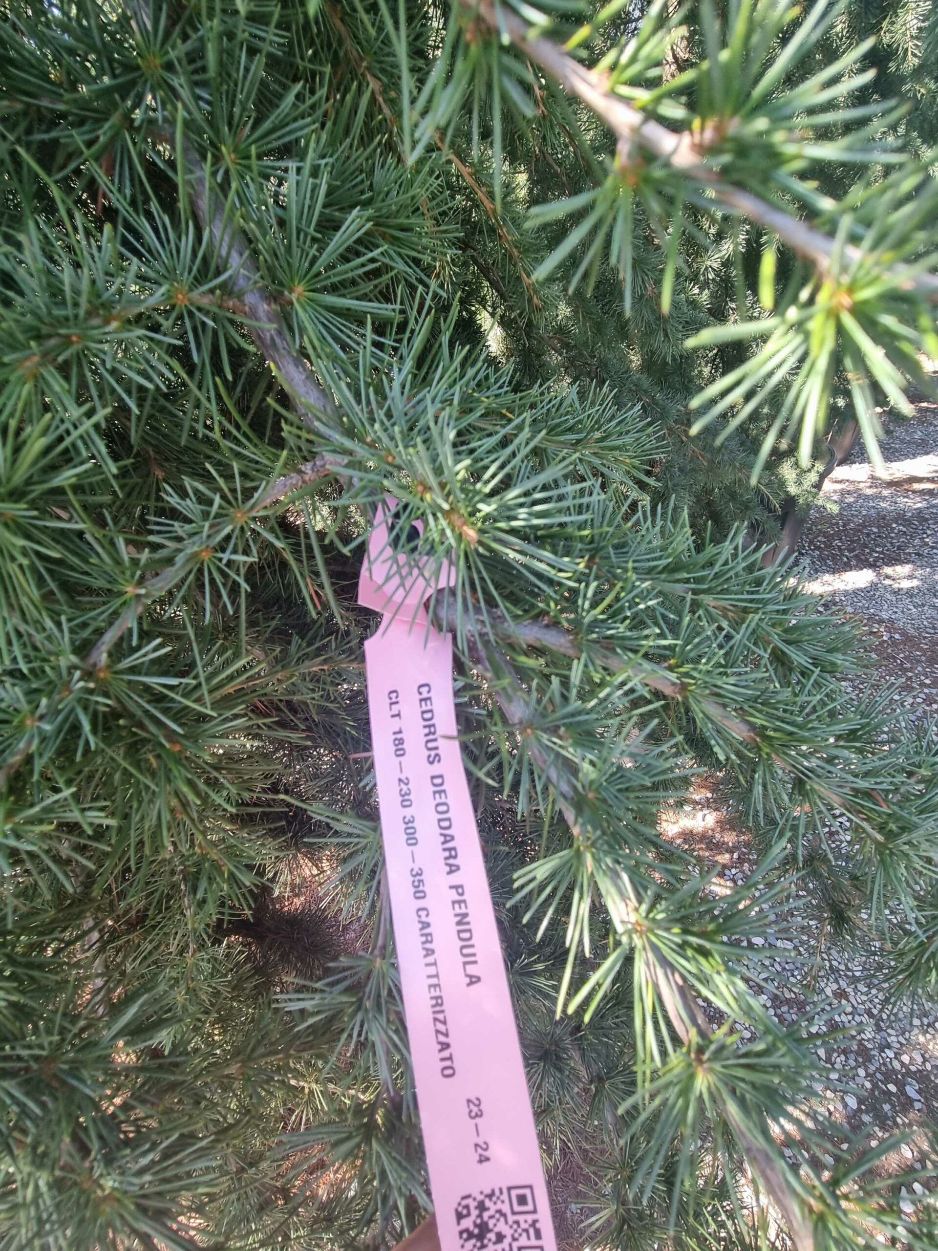 1694014968 scaled 2b44700e