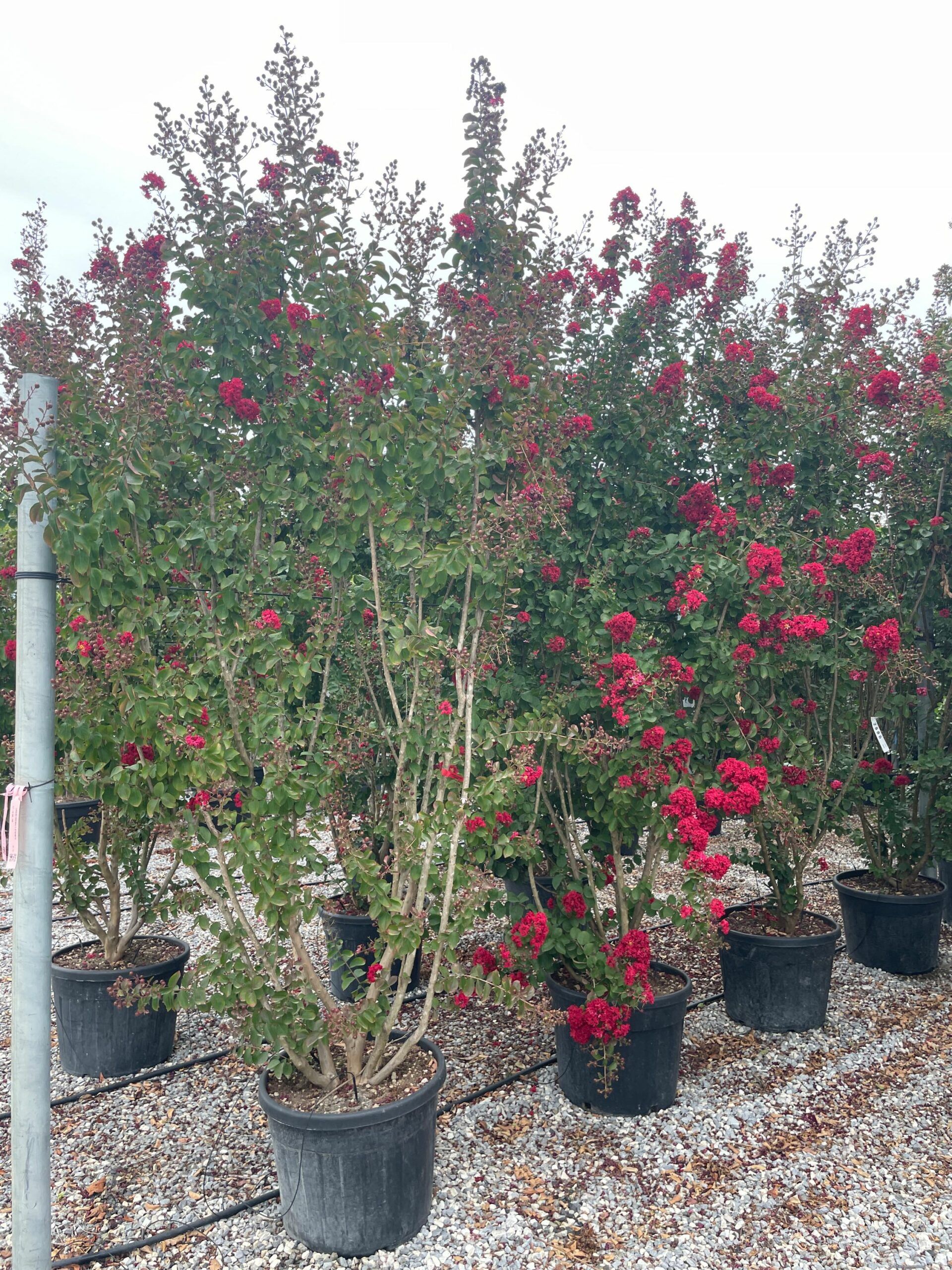 1695222532 scaled 2b64a980