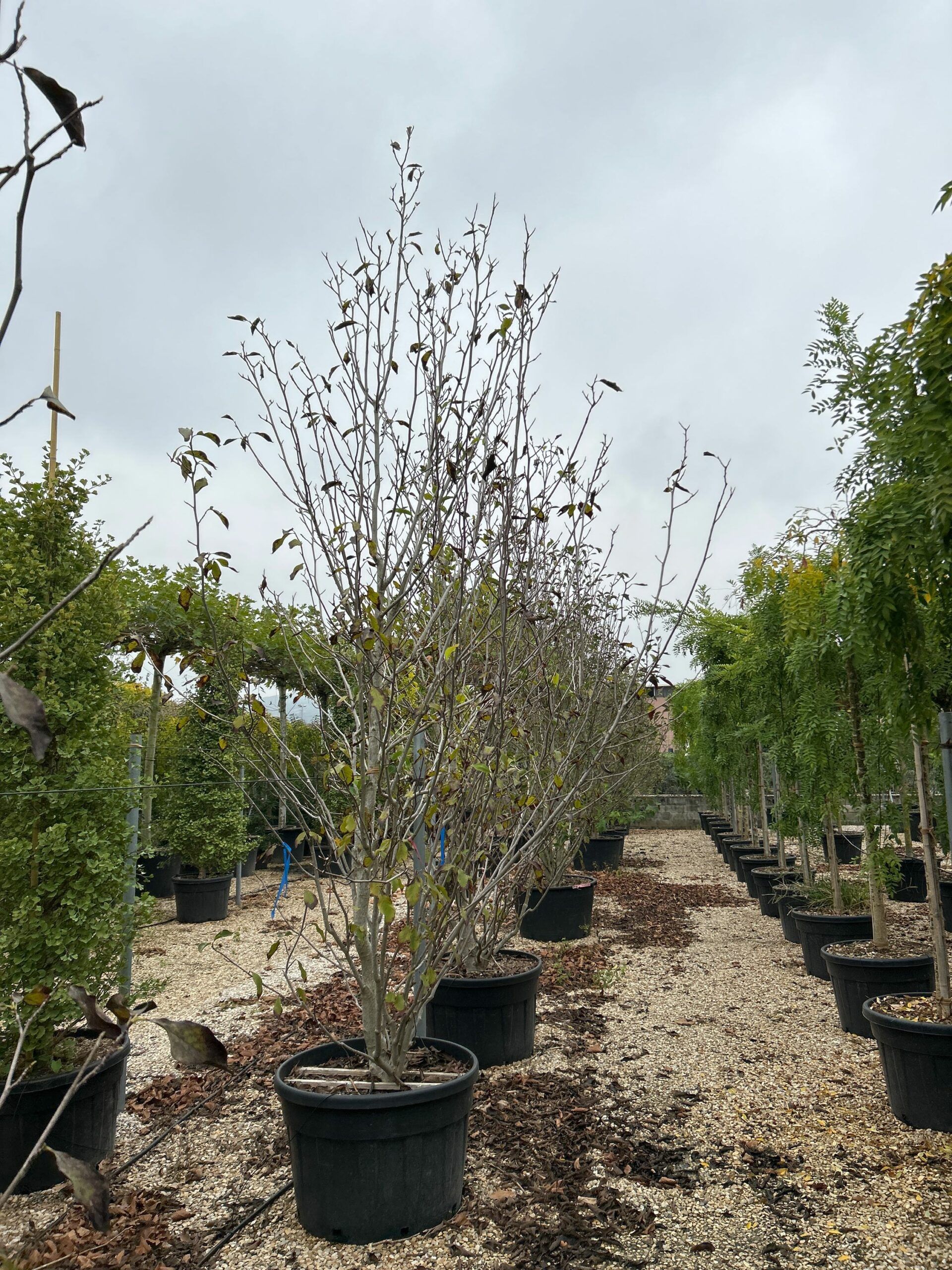 1696838795 scaled 2be26466