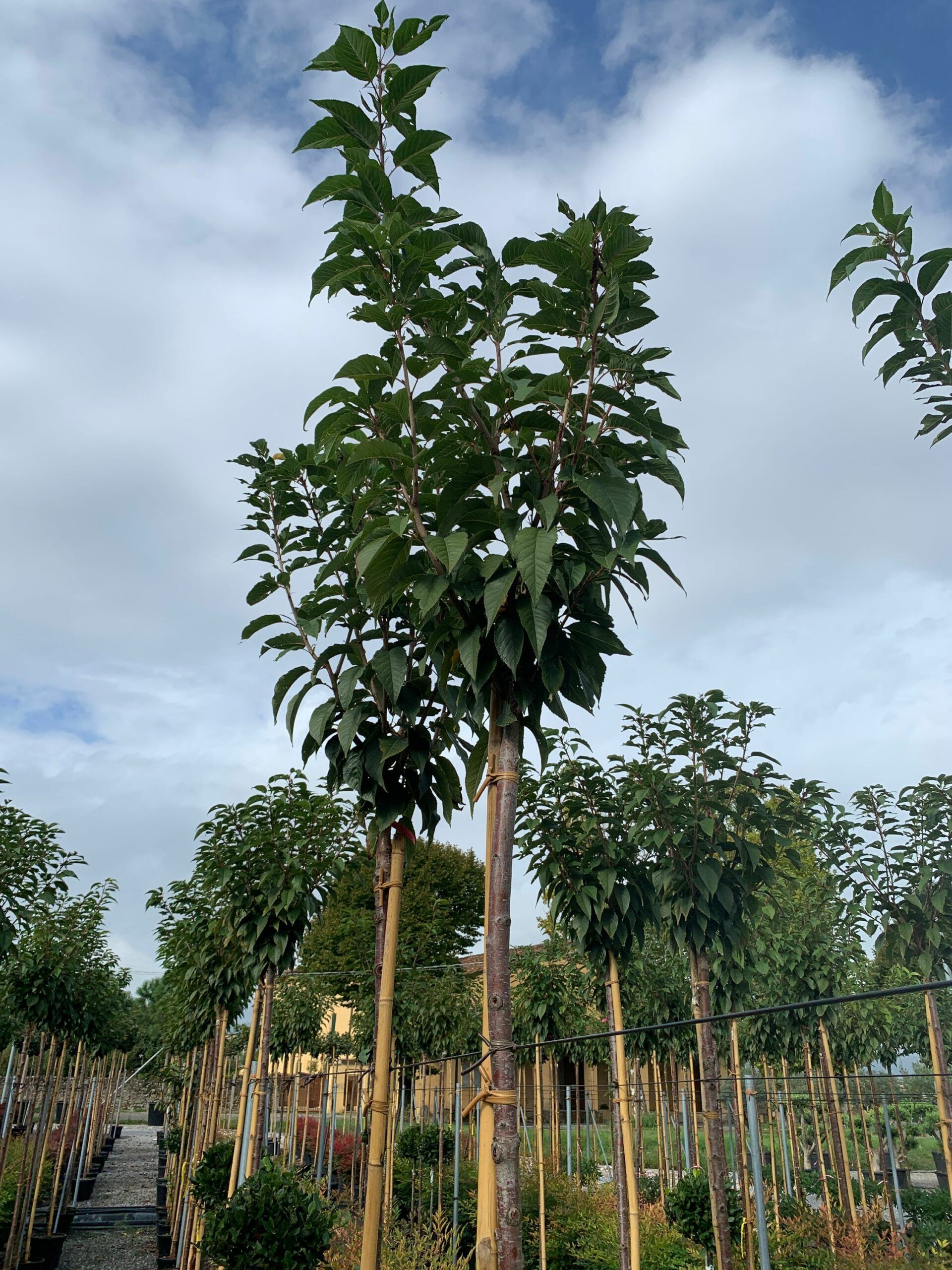 1633425870 scaled 2c025039