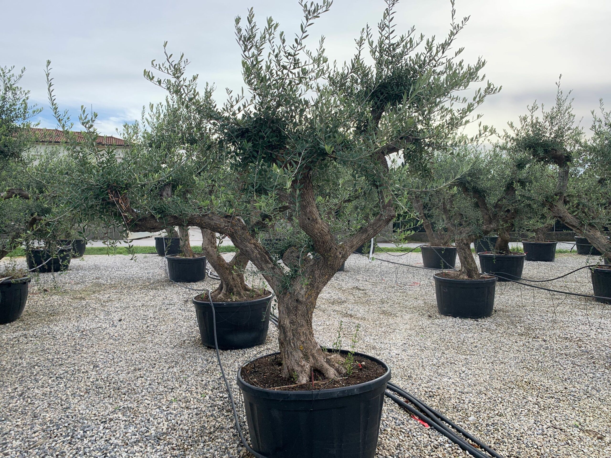 1636101959 scaled 2cc33459