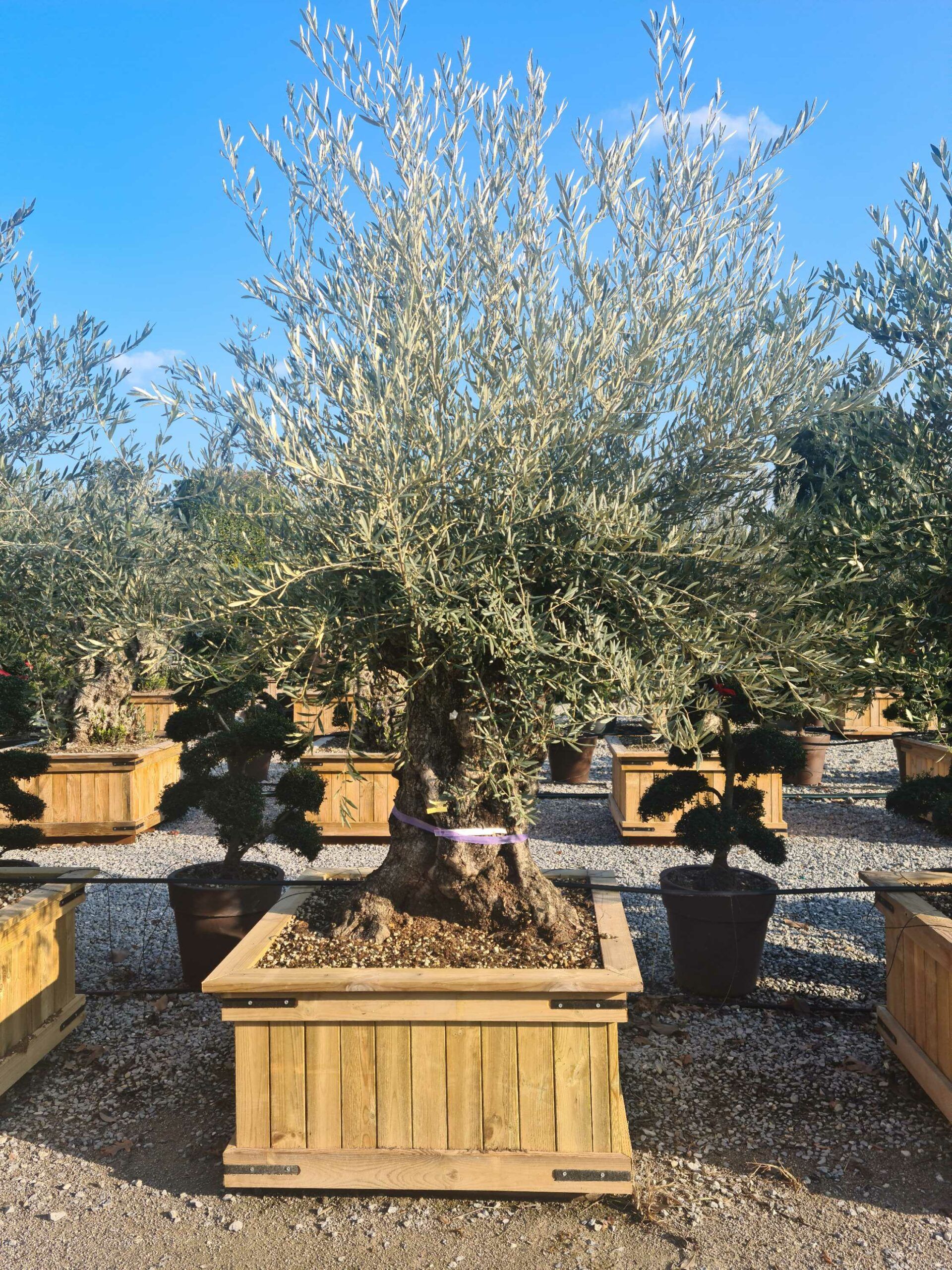 1642772129 1 scaled 2cb13c9d