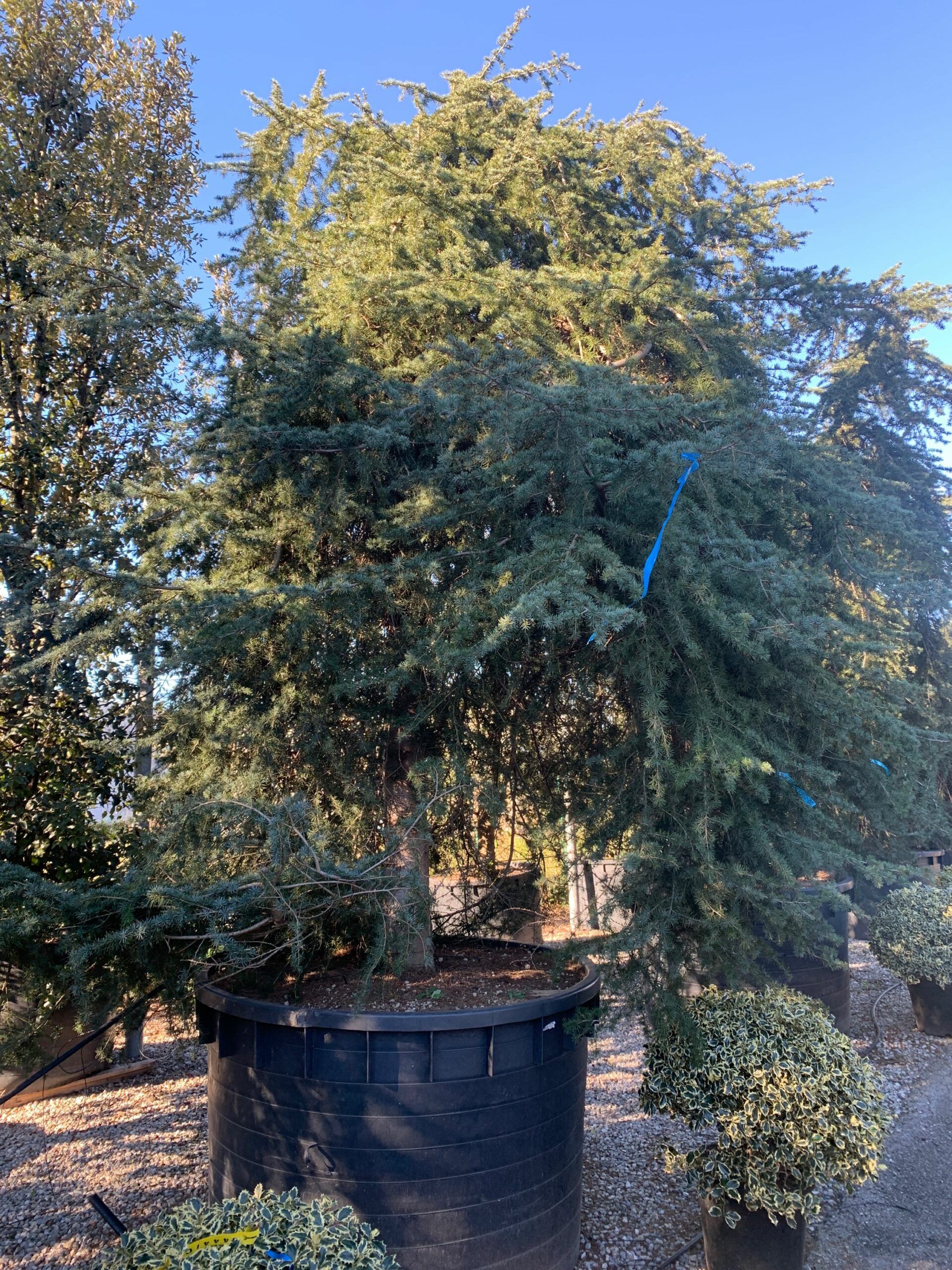 1643707896 scaled 2c0edd53