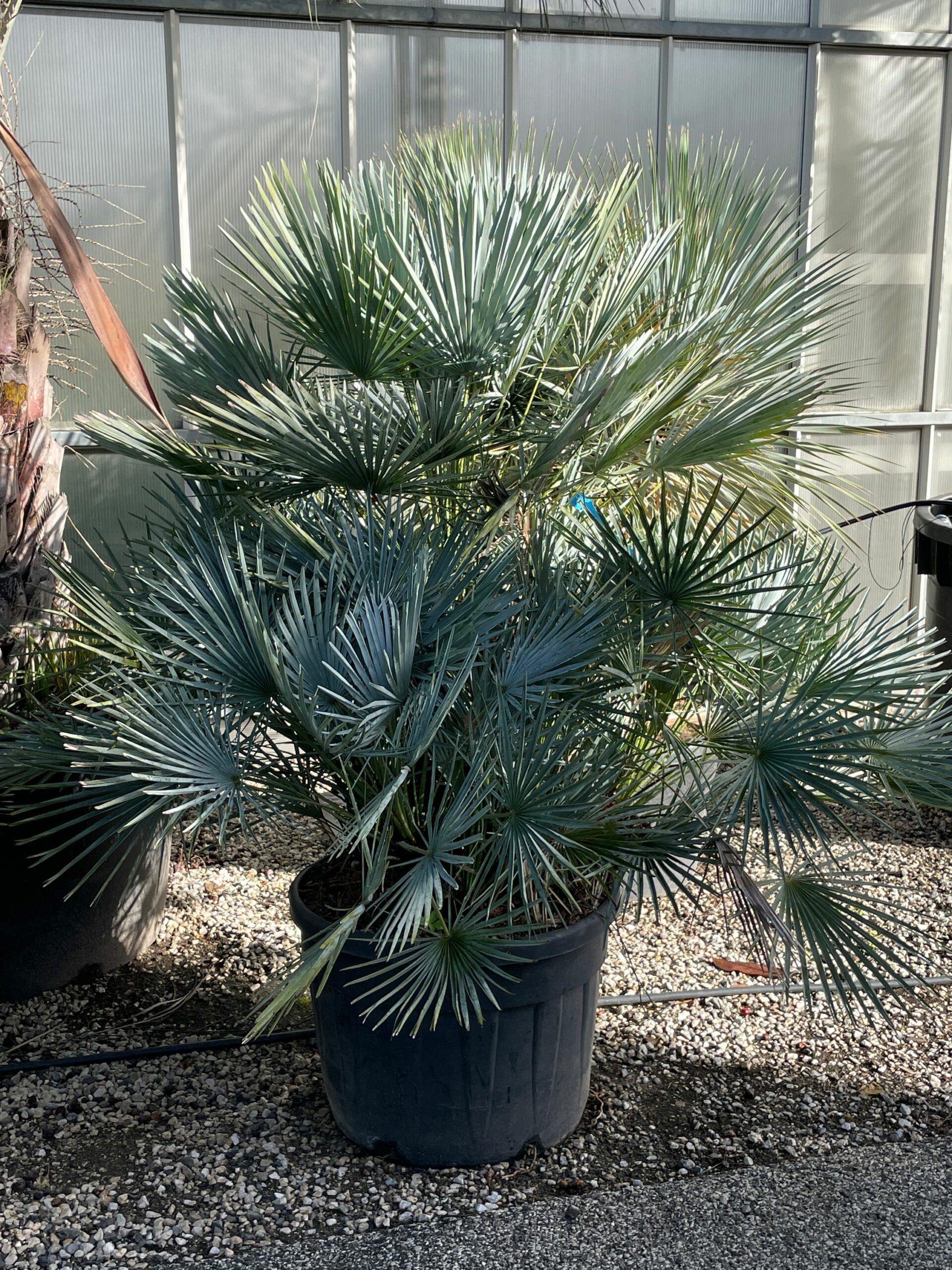 1667551737 scaled 2ce075e8