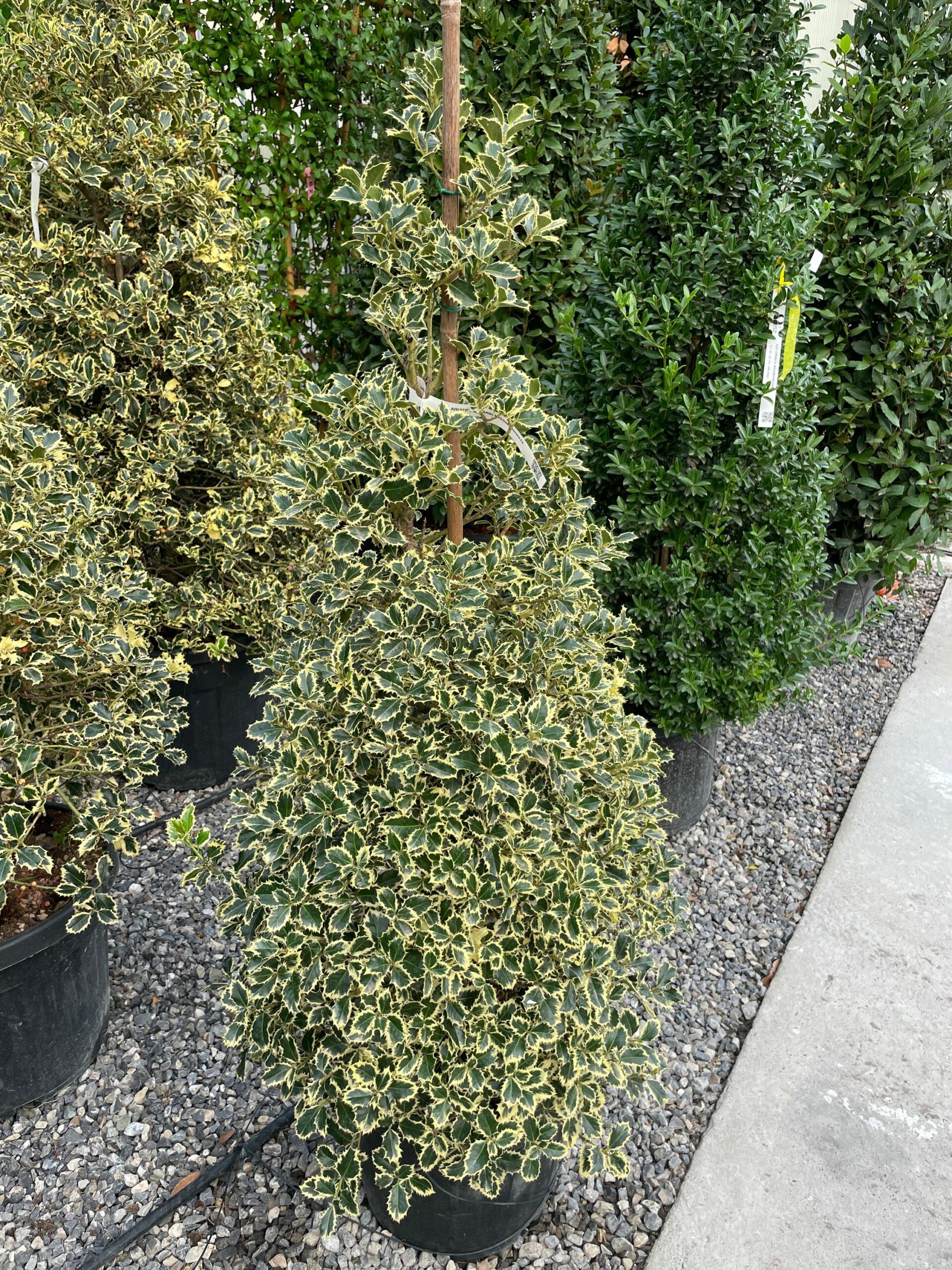 1633418652 scaled 2d843507