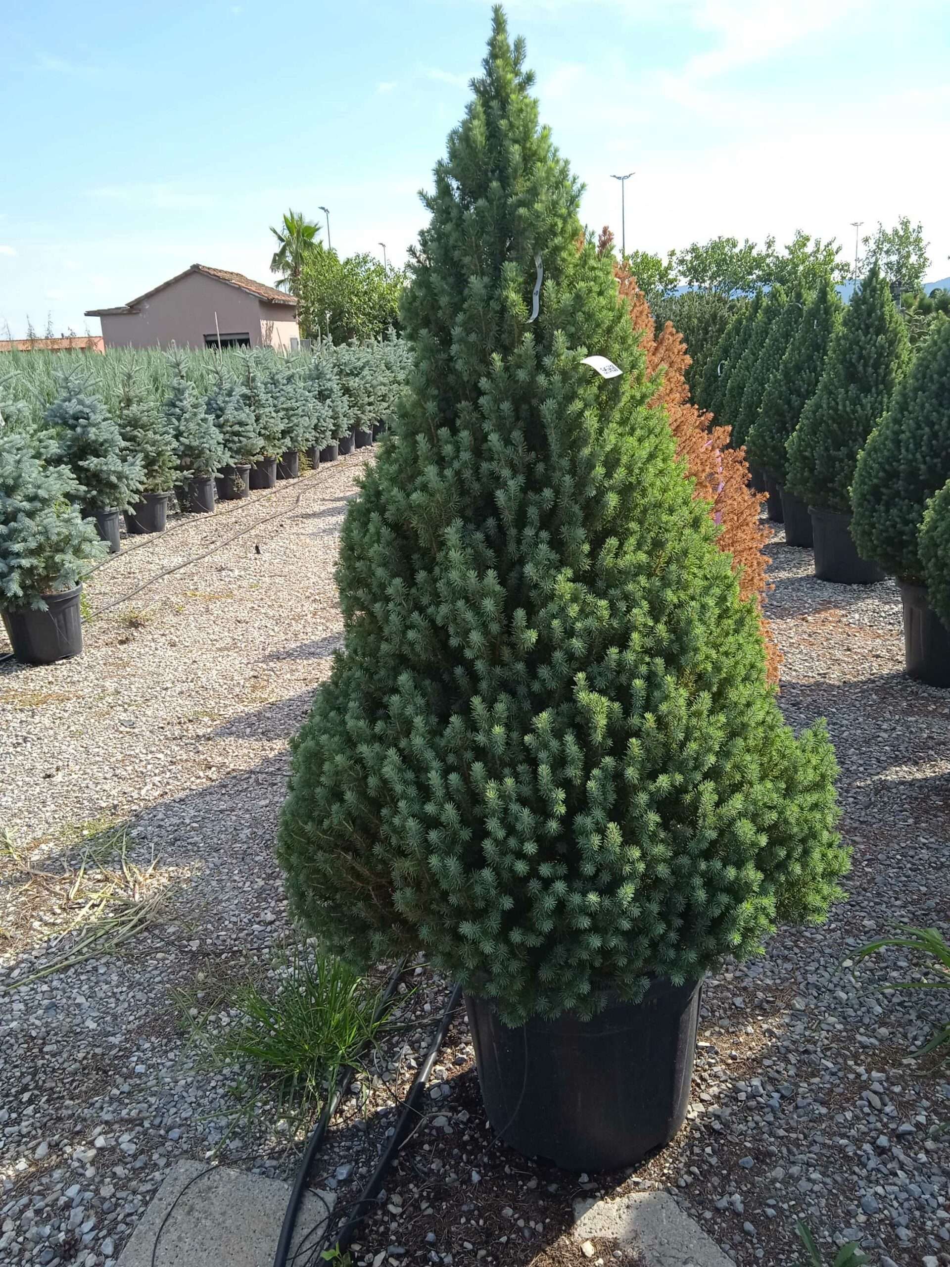 1662127154 scaled 2de1cff4