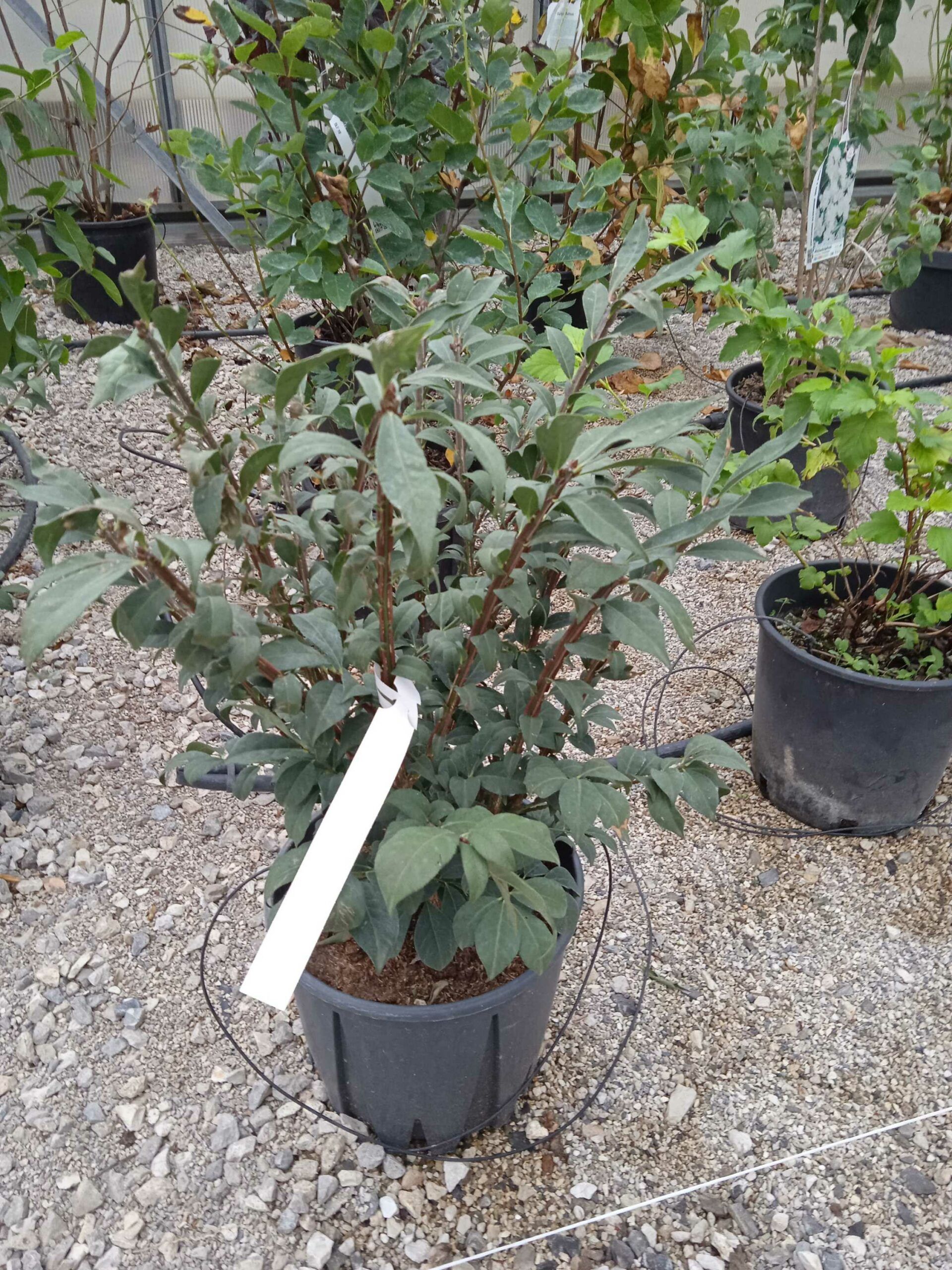 1662191122 scaled 2d8e5af7