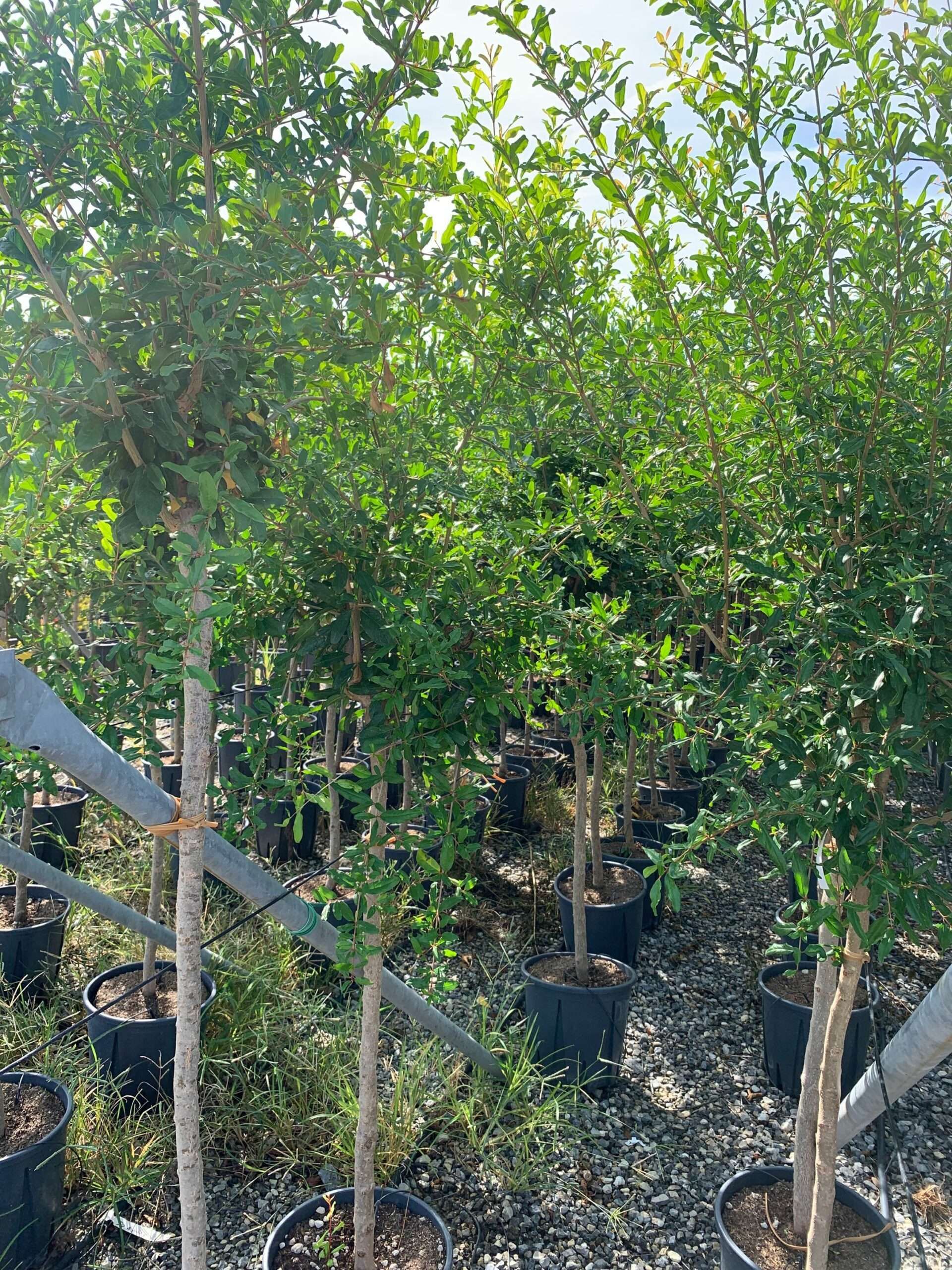 1662368727 scaled 2dbcac59