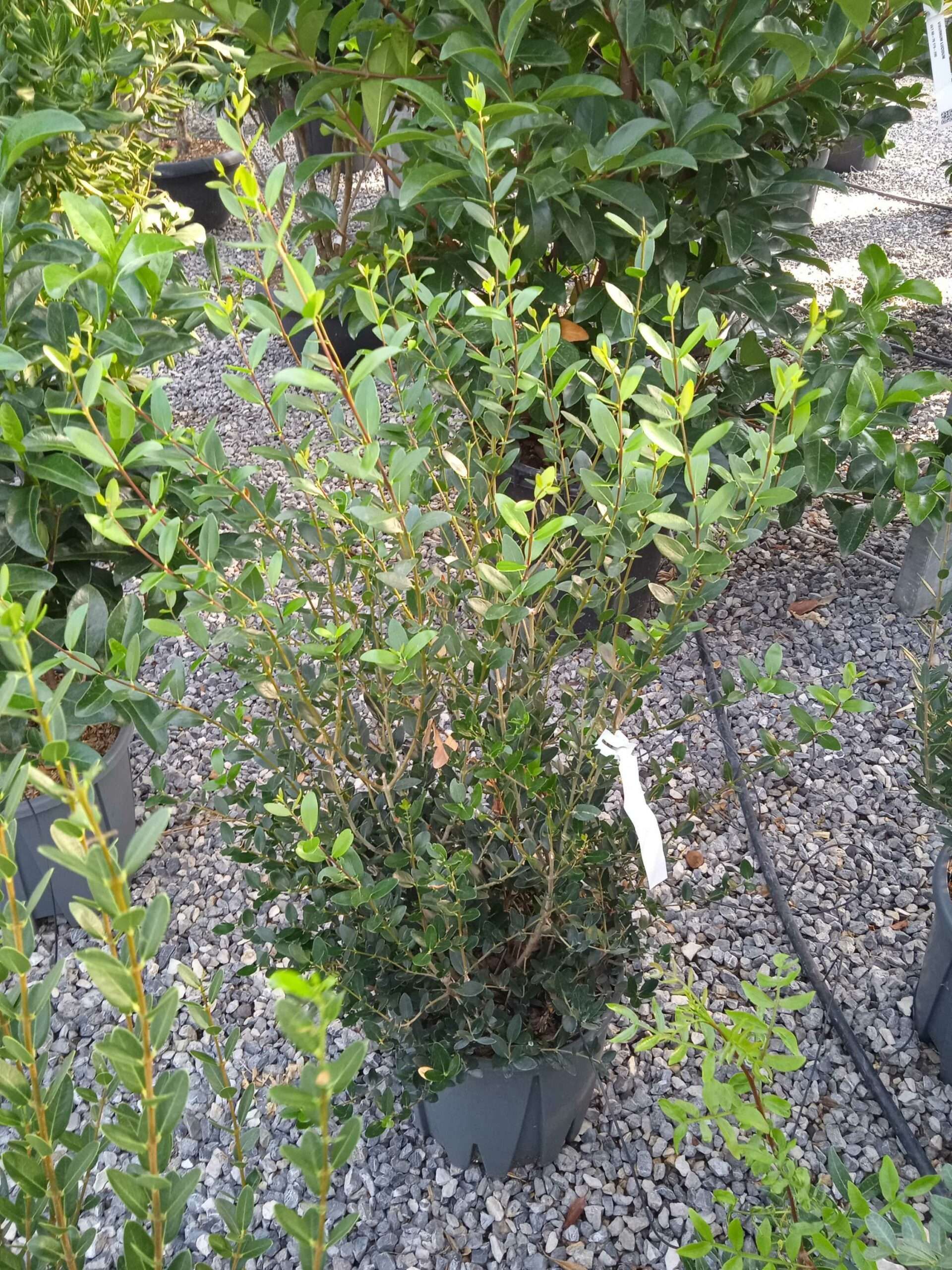 1662446990 scaled 2d0fbae5