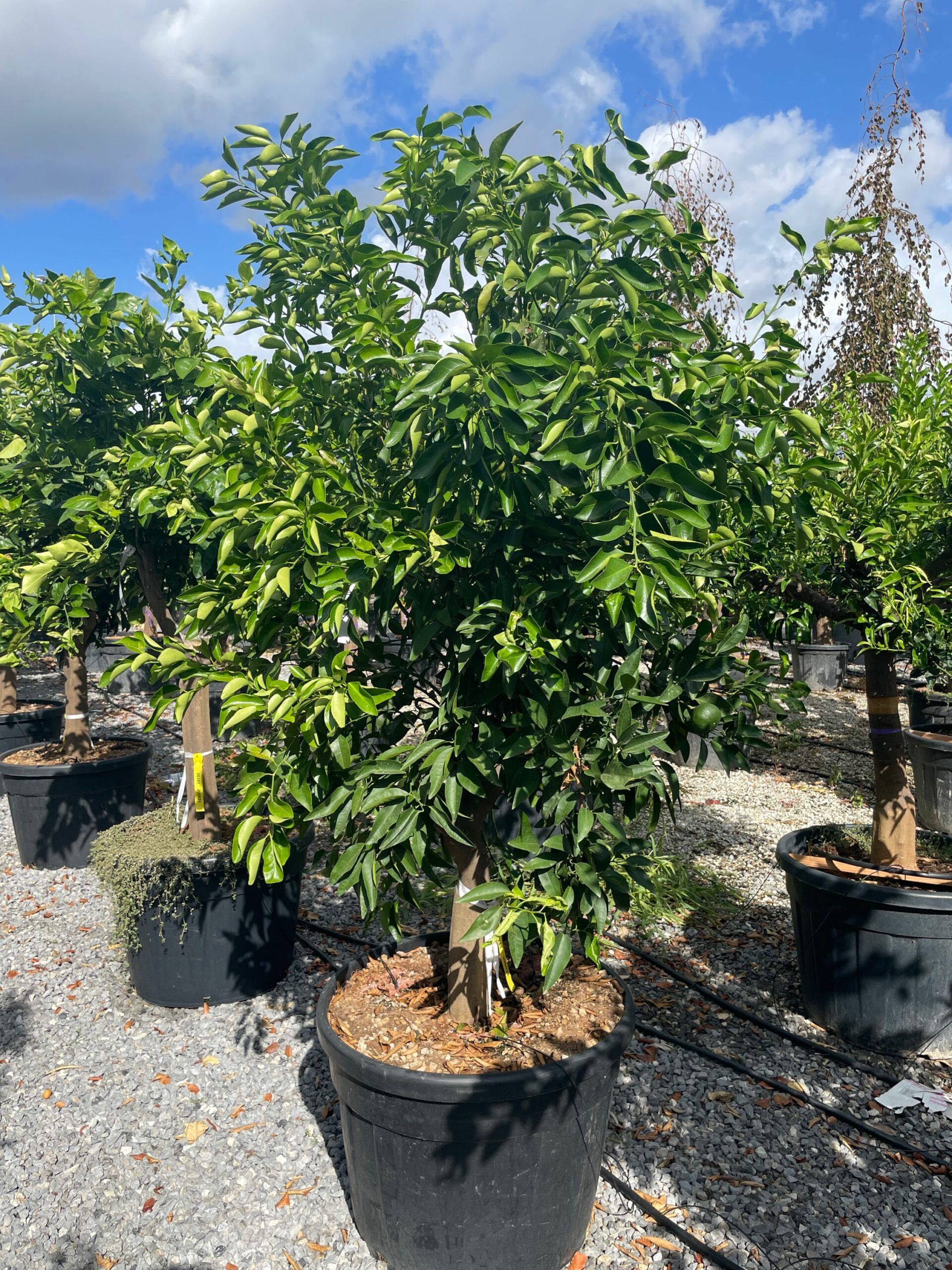 1662712782 scaled 2db5ae1a