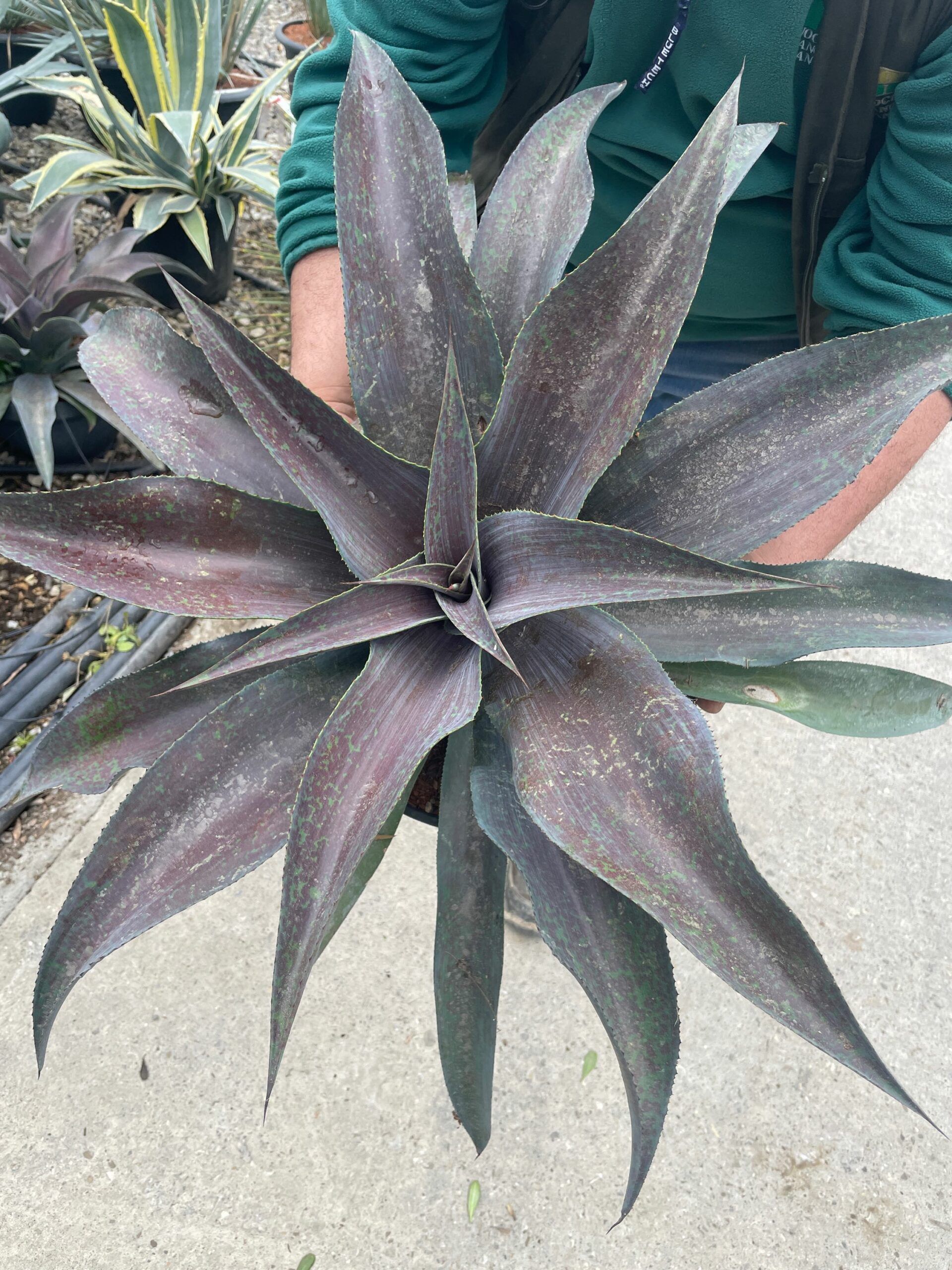 1678194222 scaled 2d2f095b