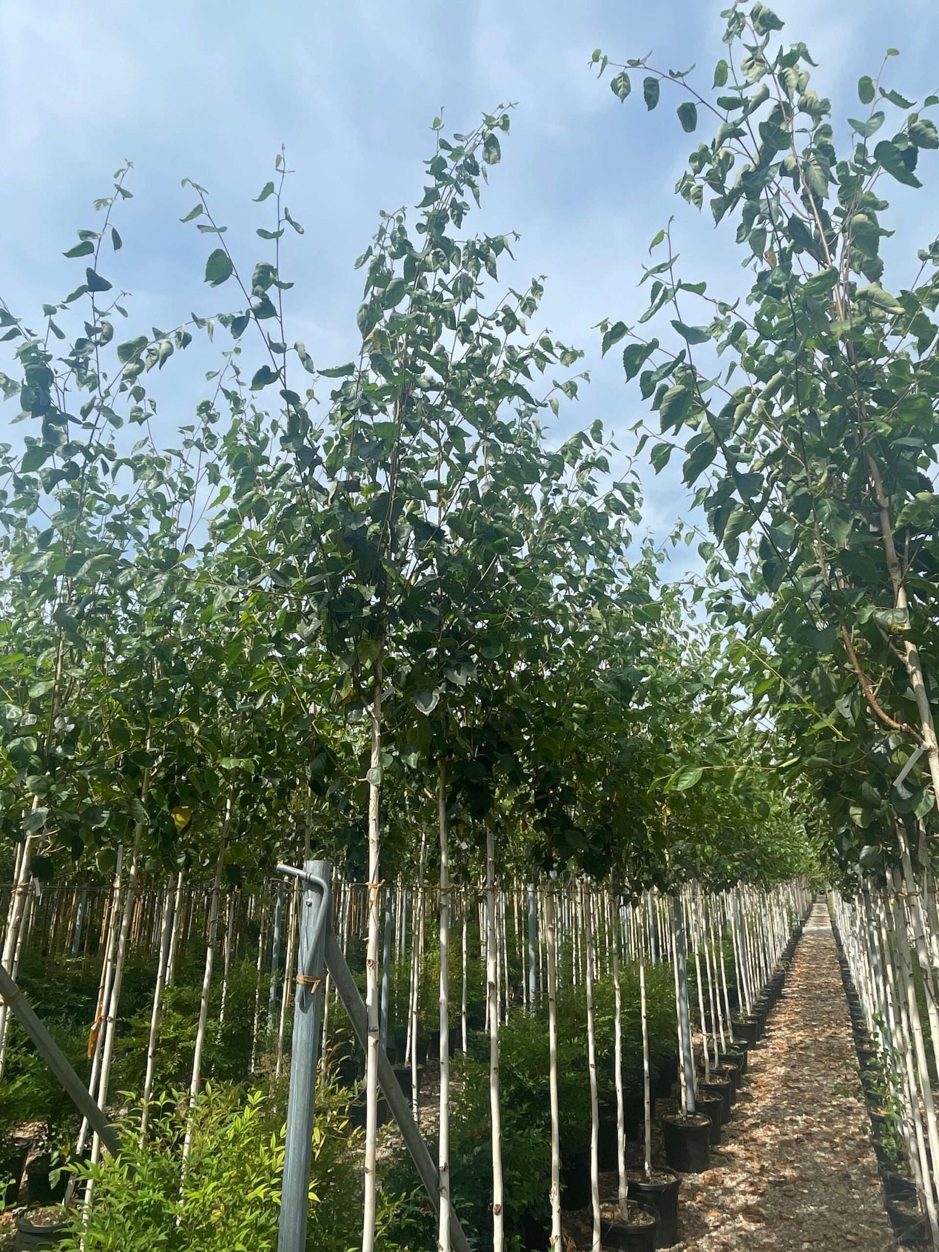 1690793048 scaled 2d9afea4