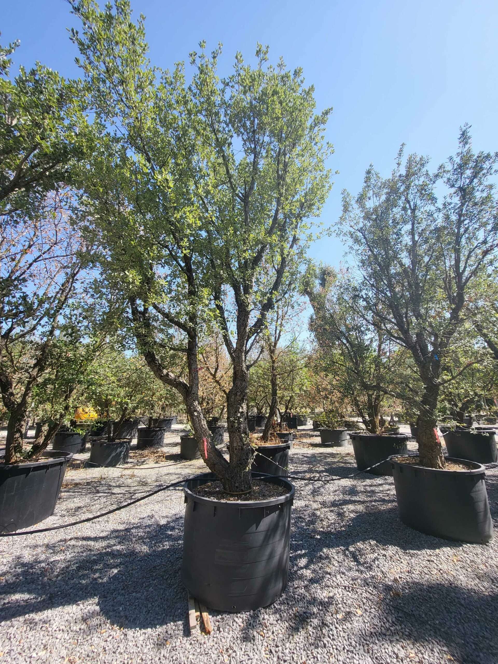 1692709719 scaled 2d721e91