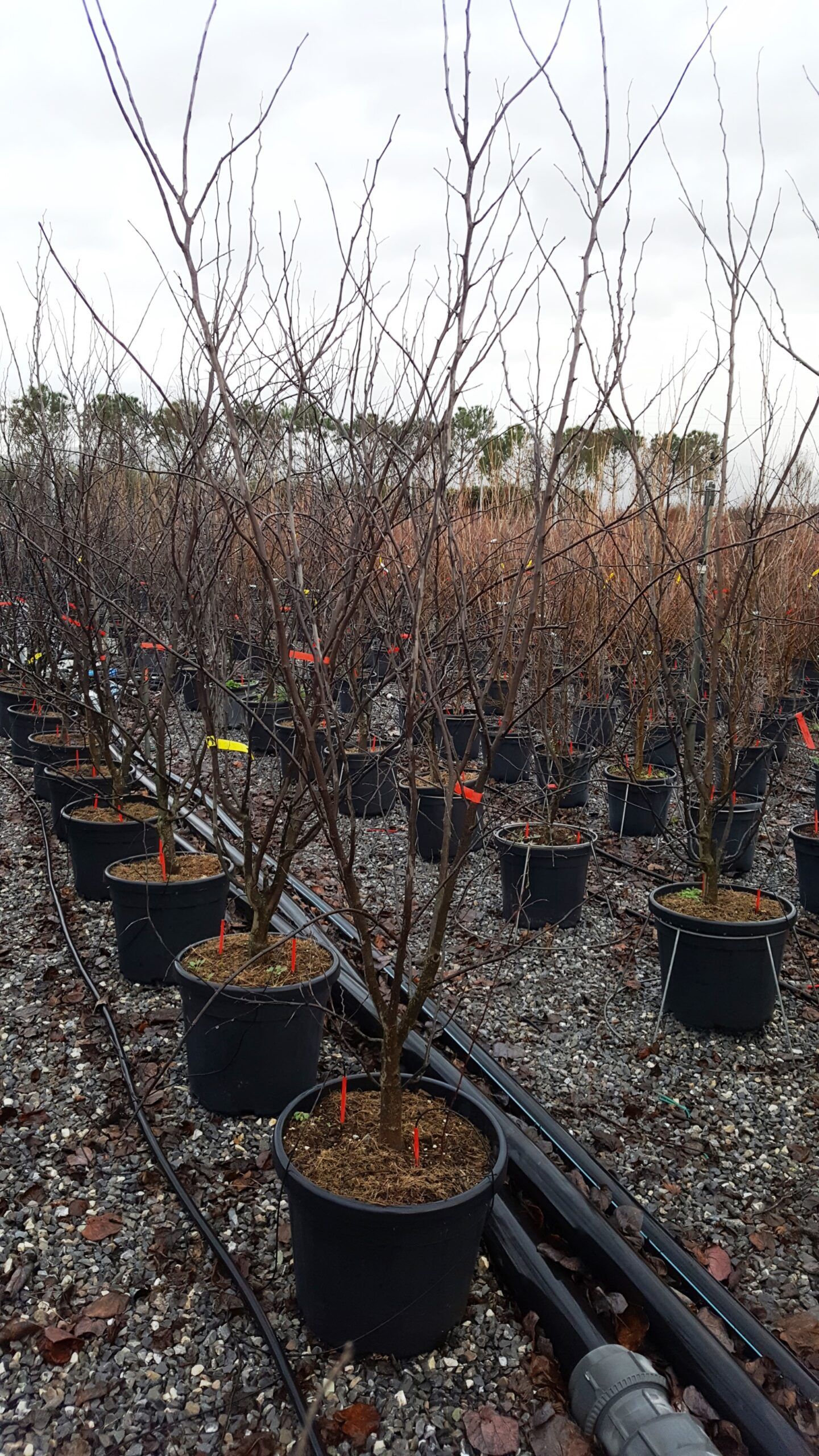 1610184893 scaled 2e59a146