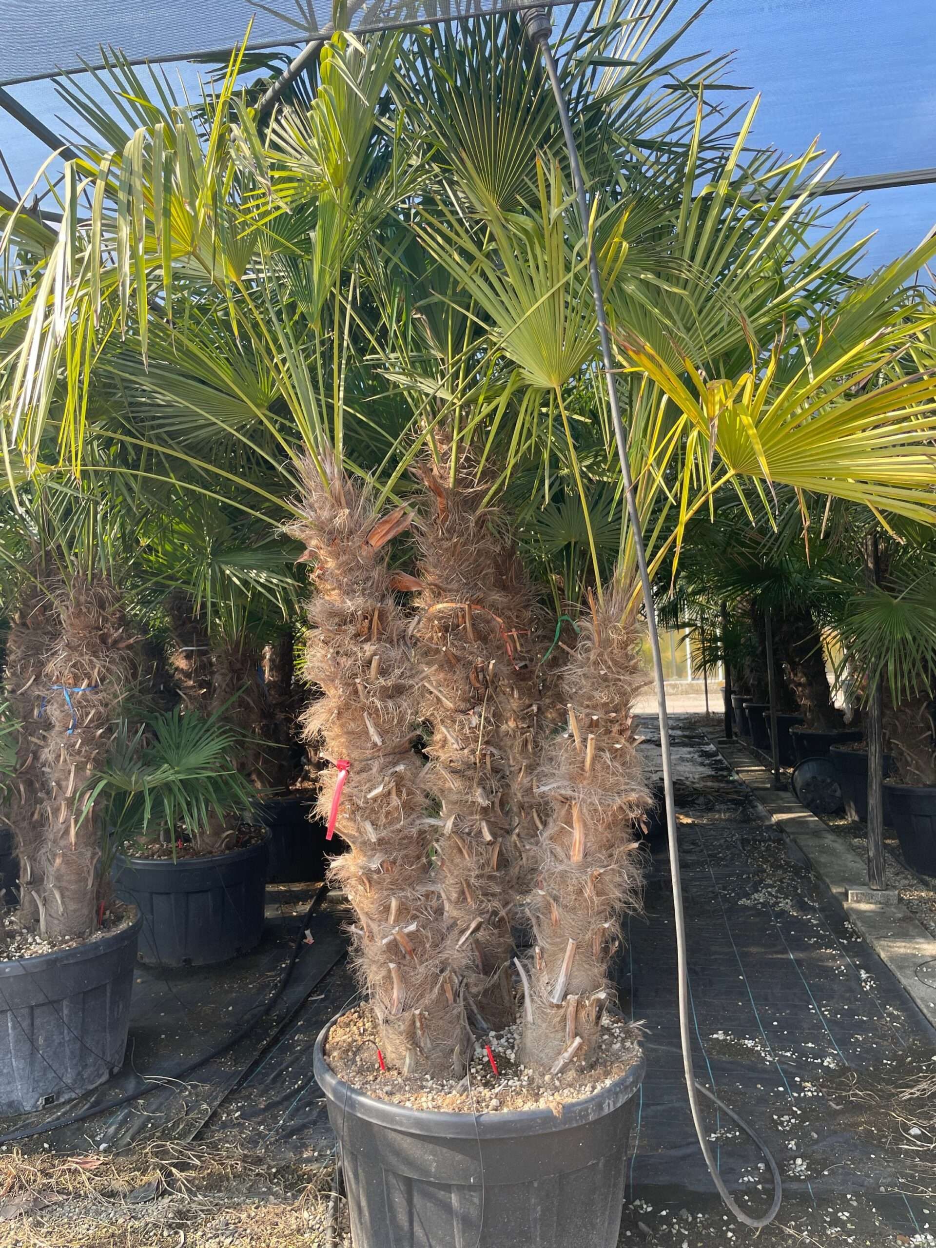 1636800162 scaled 2e067860