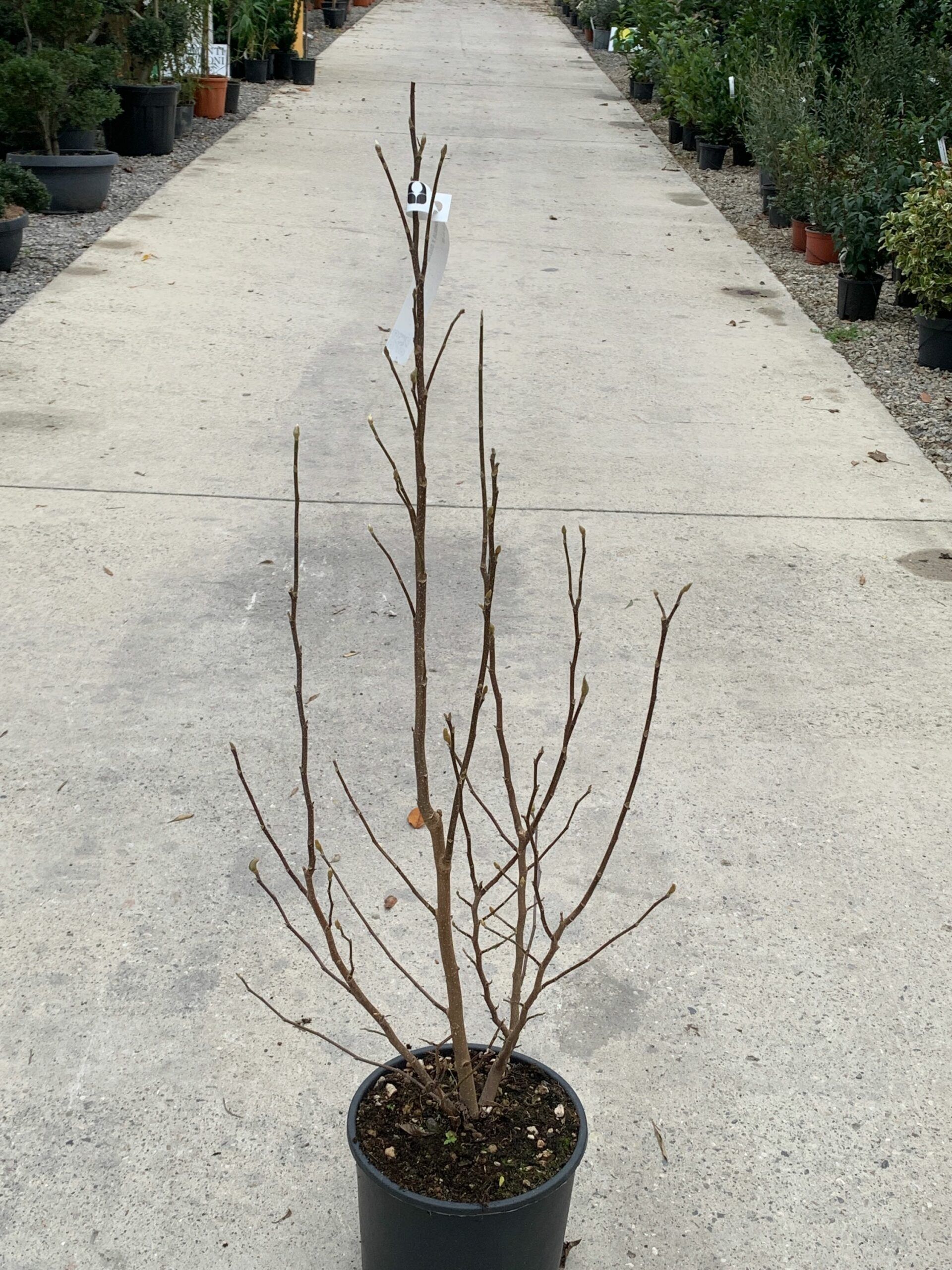 1640095678 scaled 2e50830e