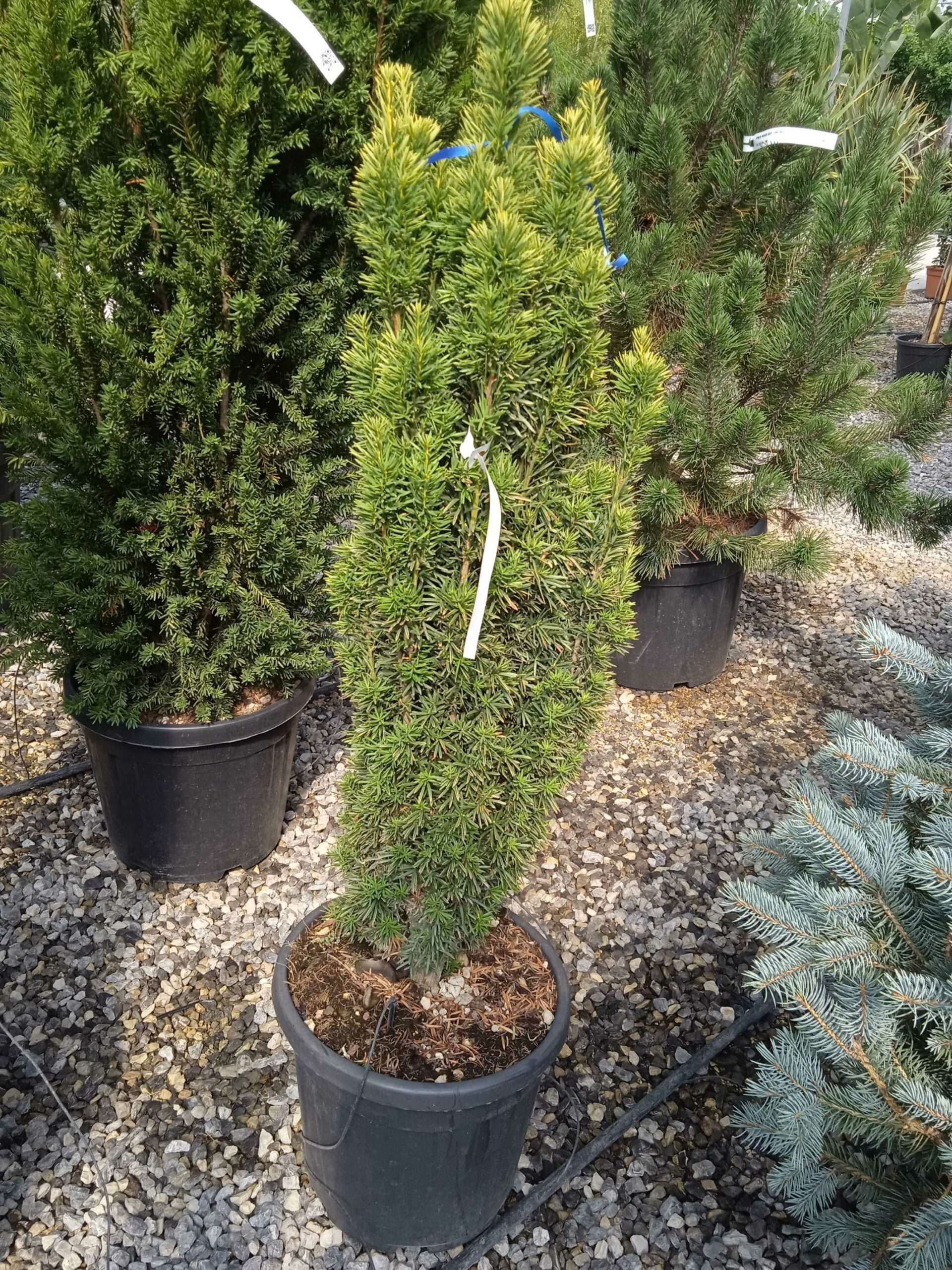 1662368830 scaled 2eeb9cc3