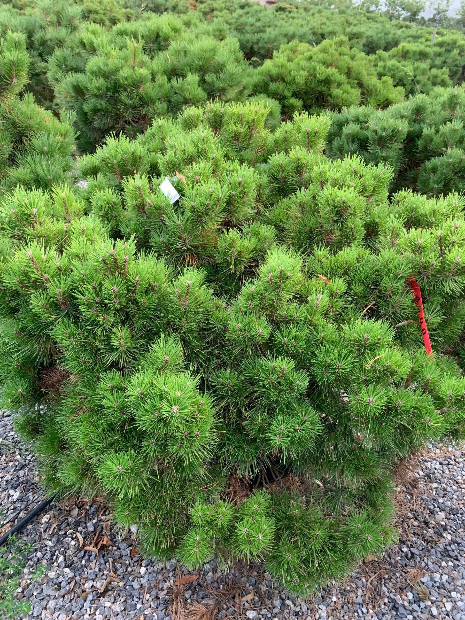 1663253446 scaled 2e4d91ff