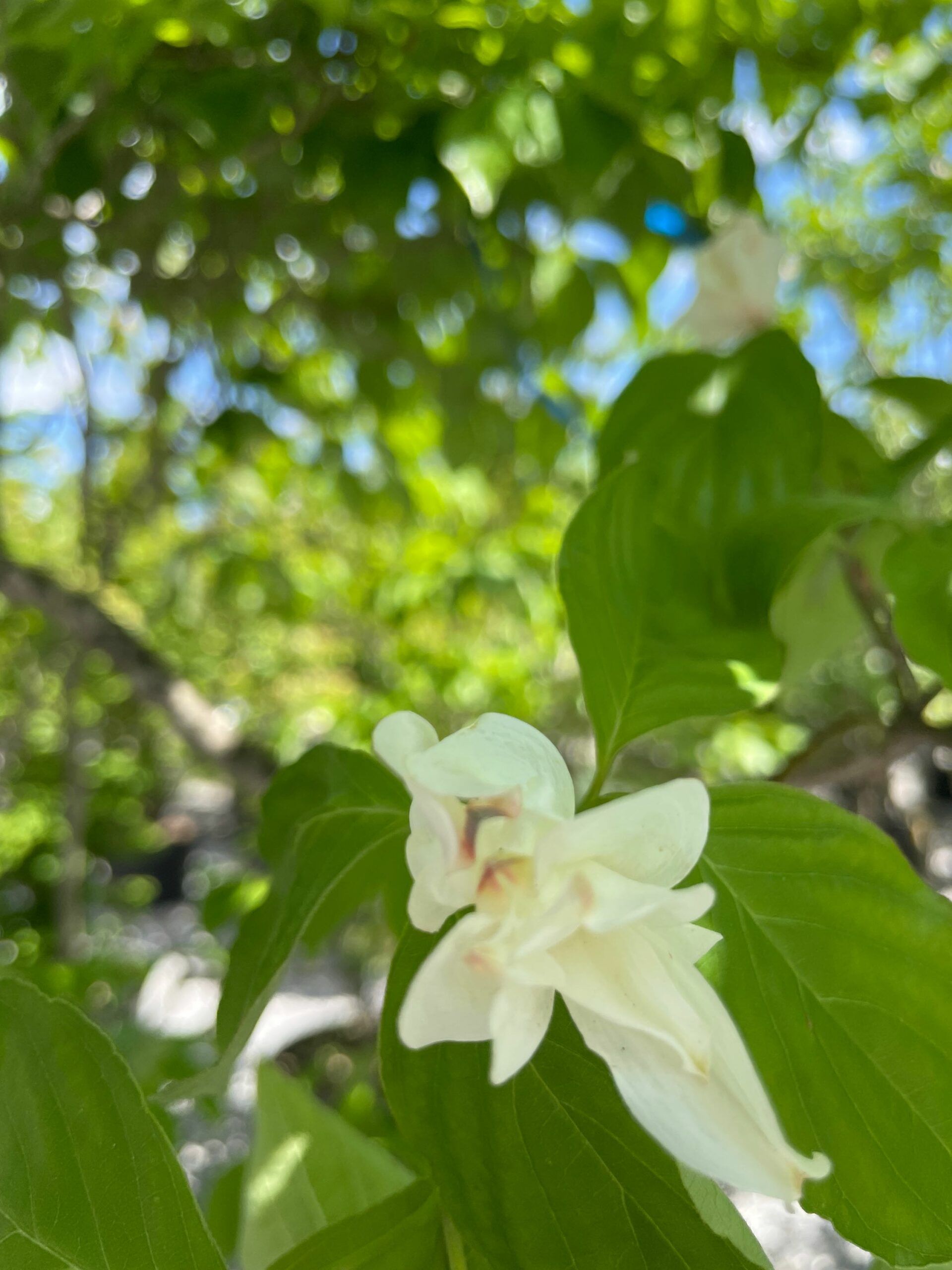 1683110818 scaled 2ea3eae3