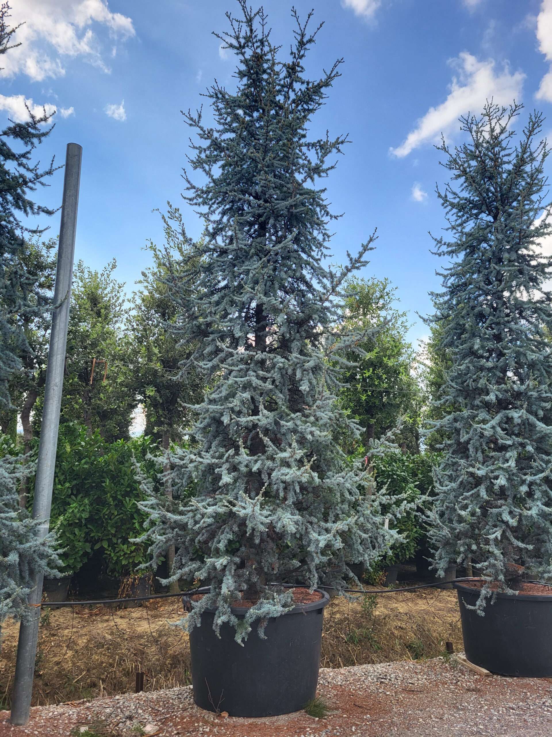 1694788505 scaled 2e22ddb5