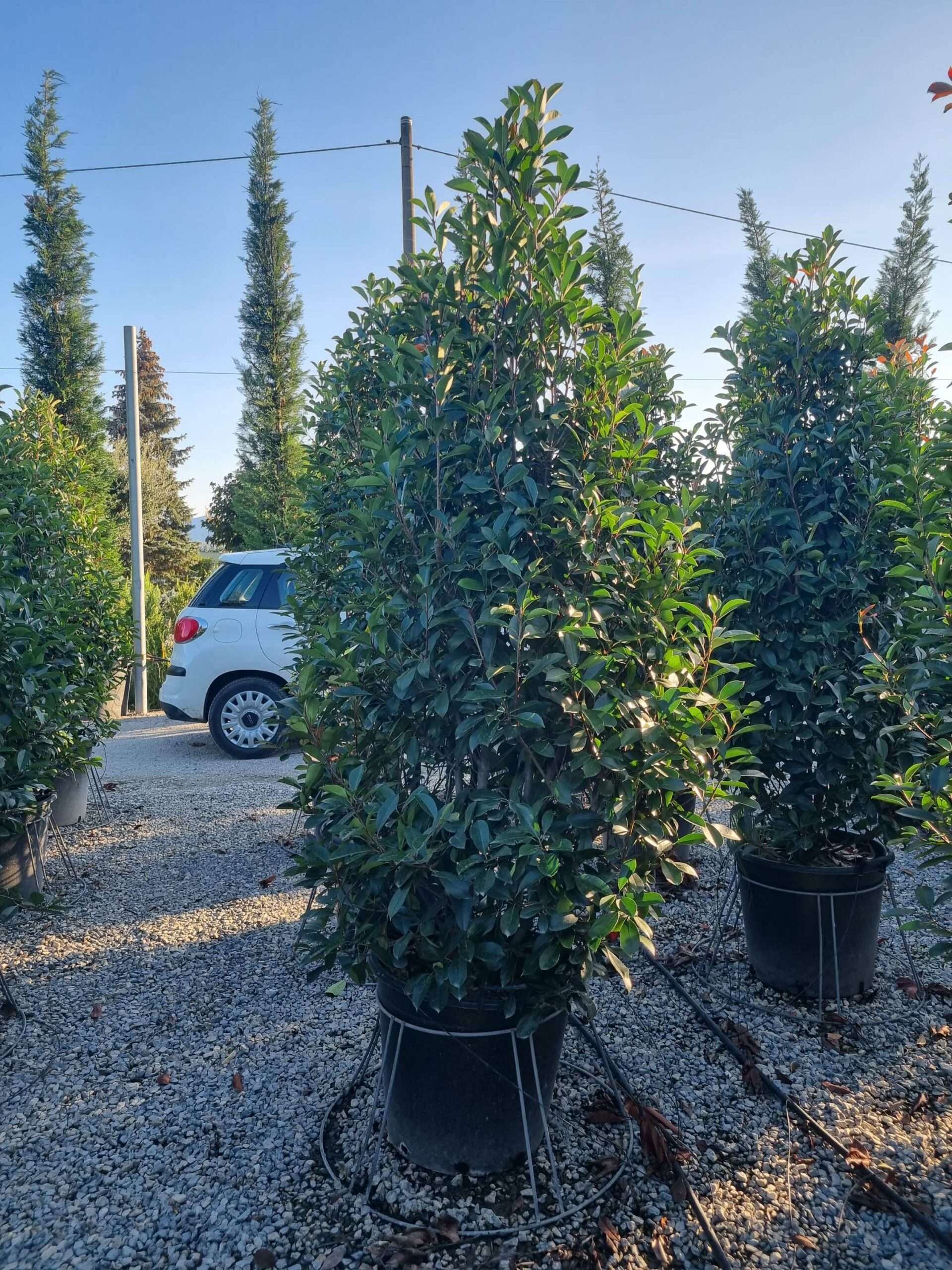 1695657040 scaled 2eb100d3