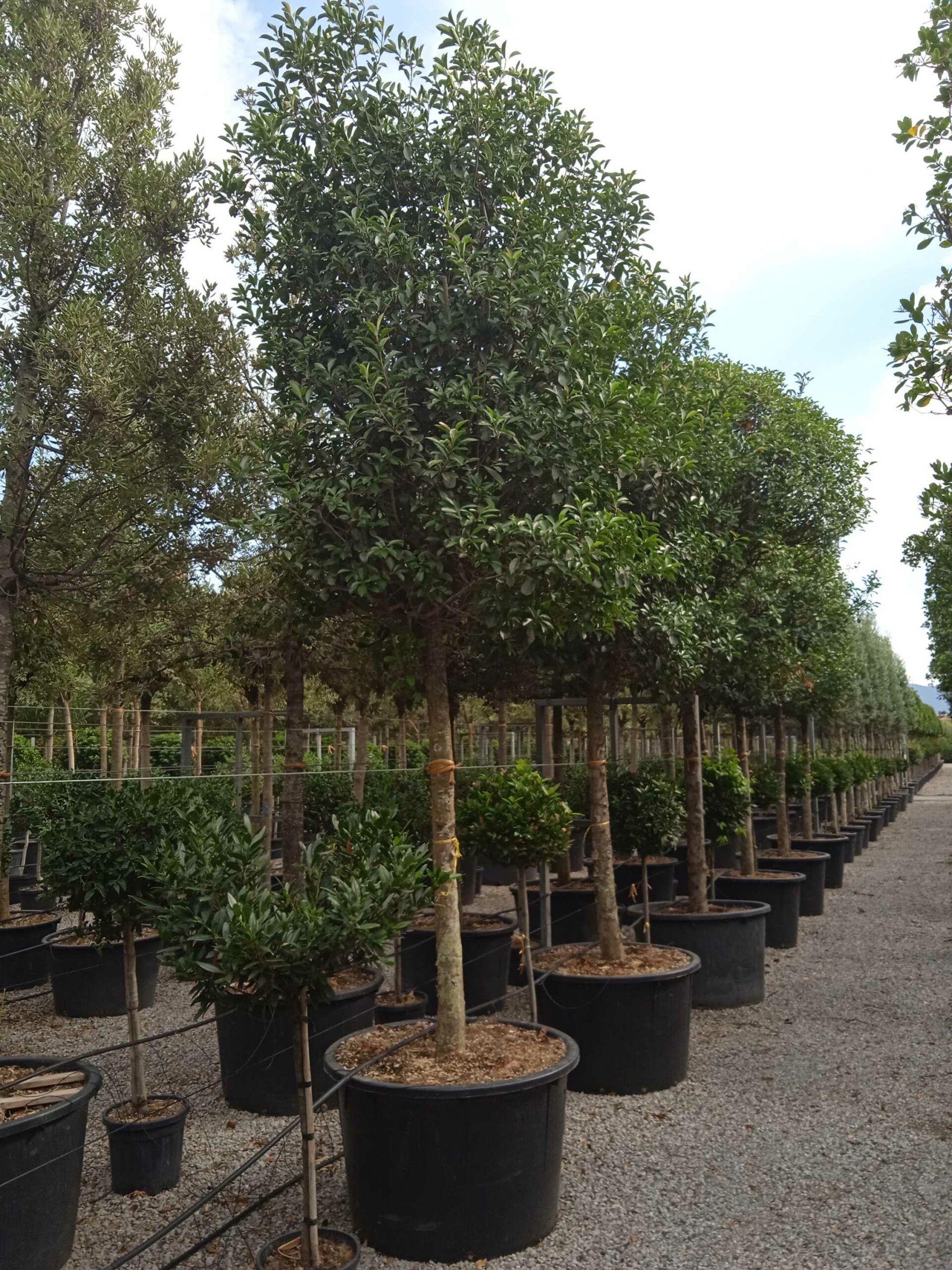 1661870798 scaled 2fd9d8f6