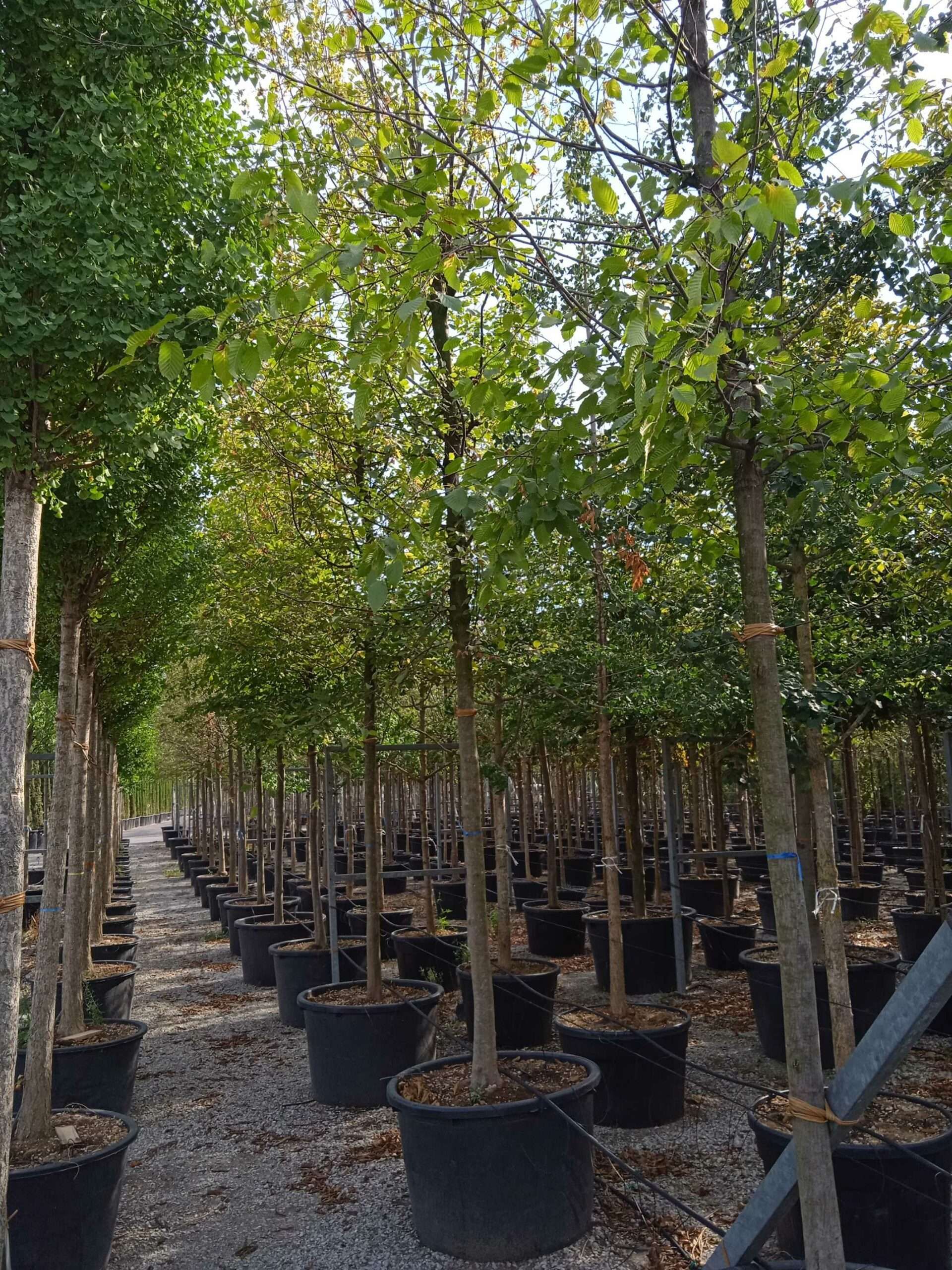 1662129533 scaled 2f73ea91