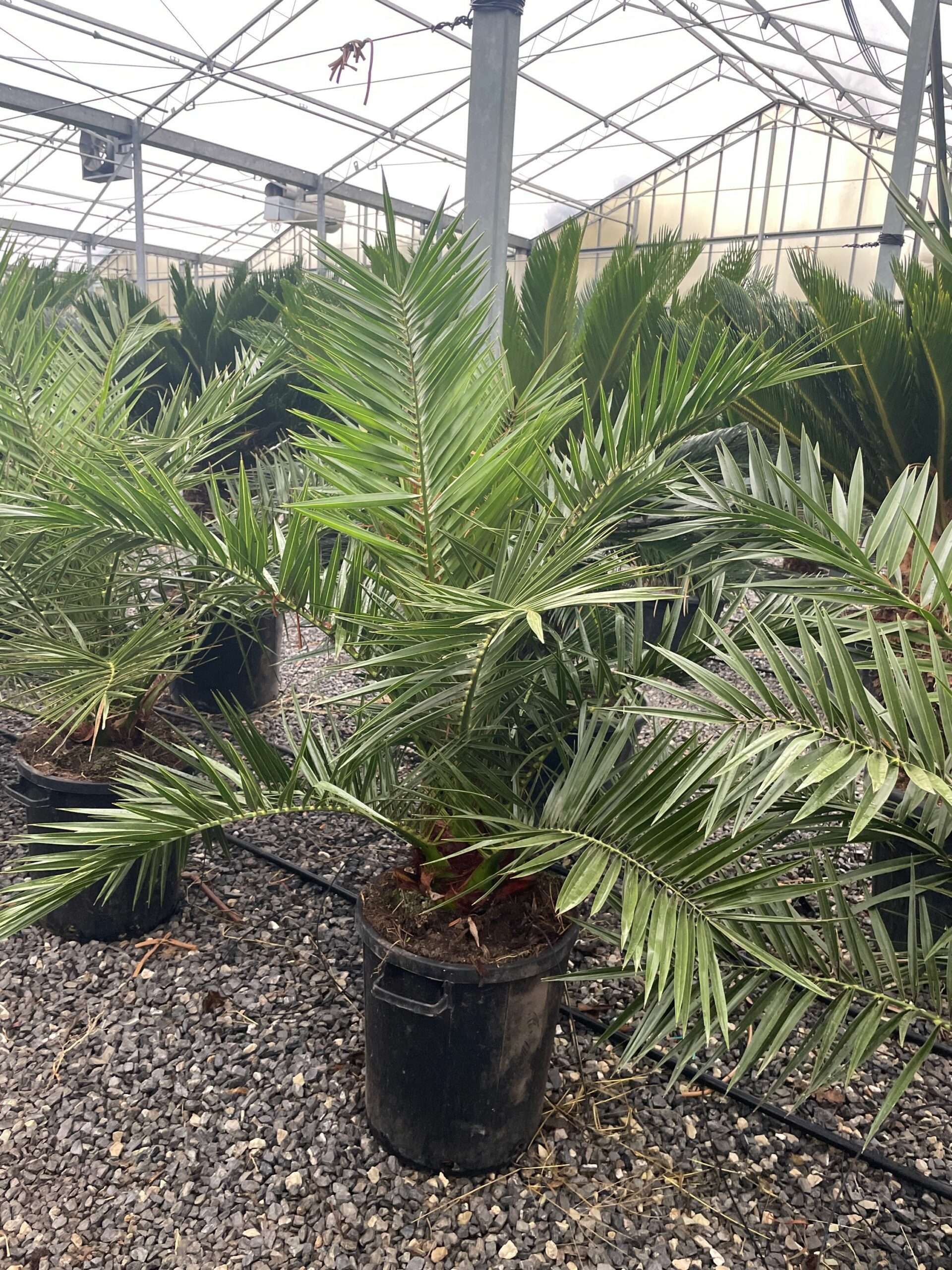 1670576627 scaled 2f2bfaac