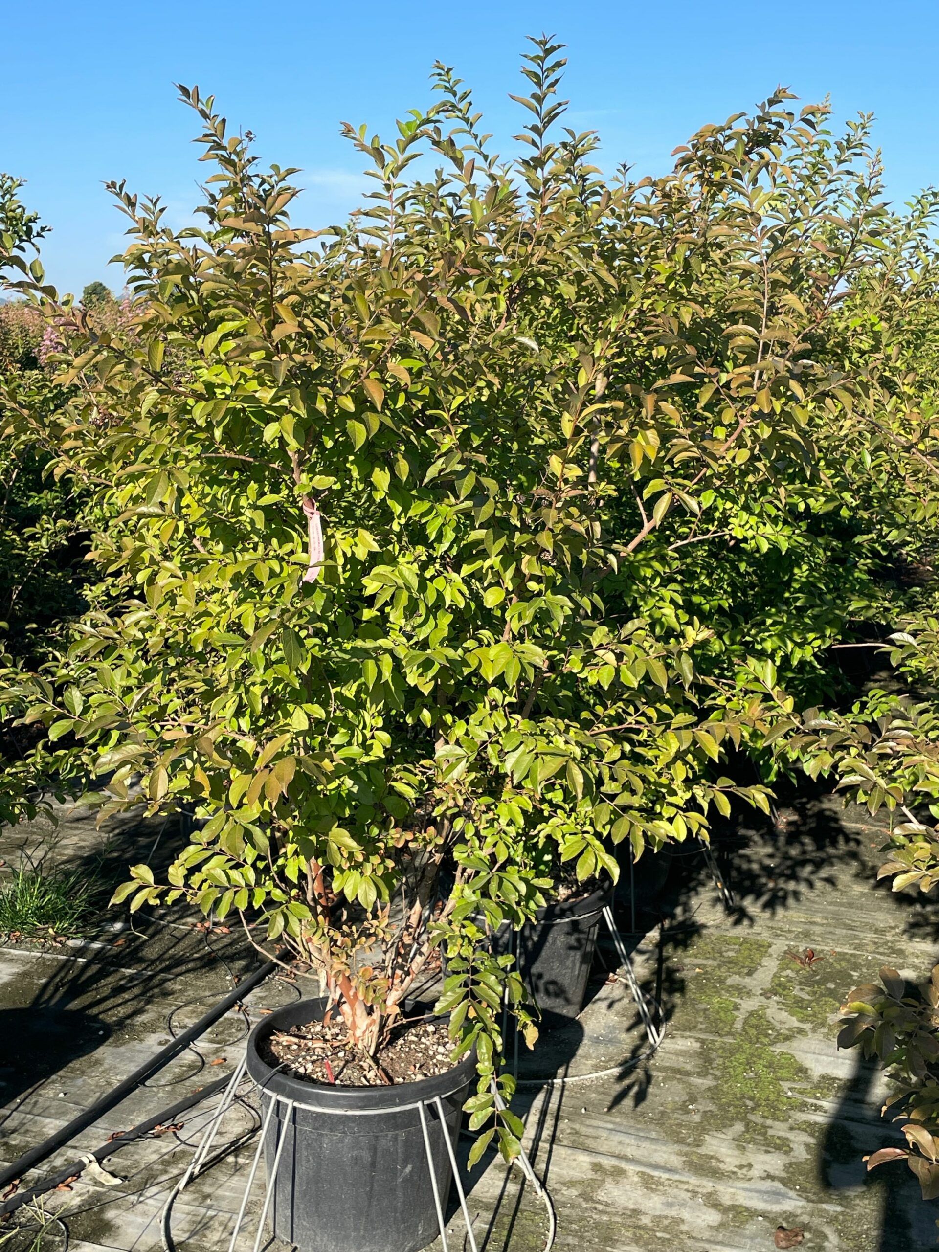 1692772889 scaled 2f717988