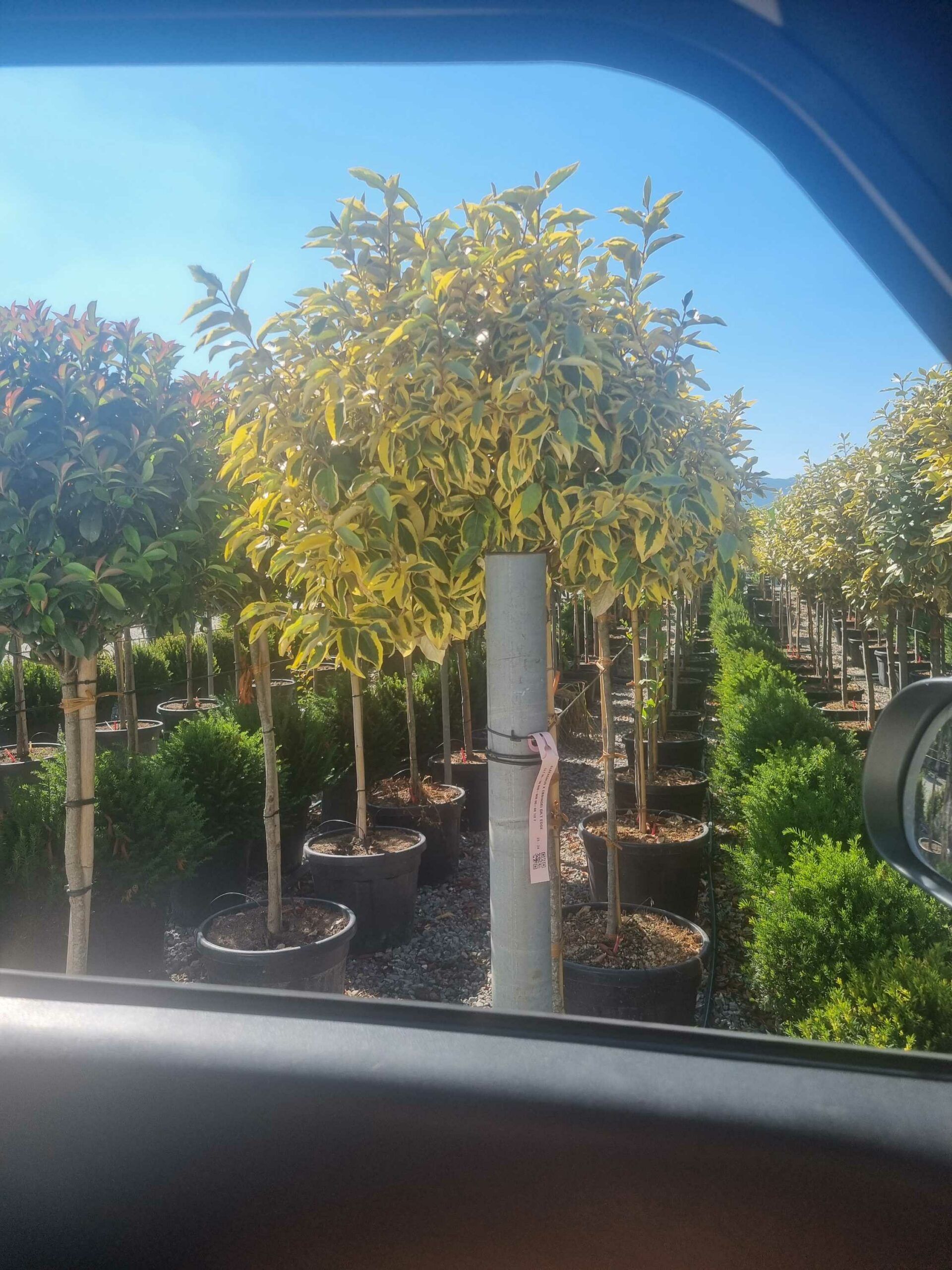 1694094026 scaled 2f5557c3