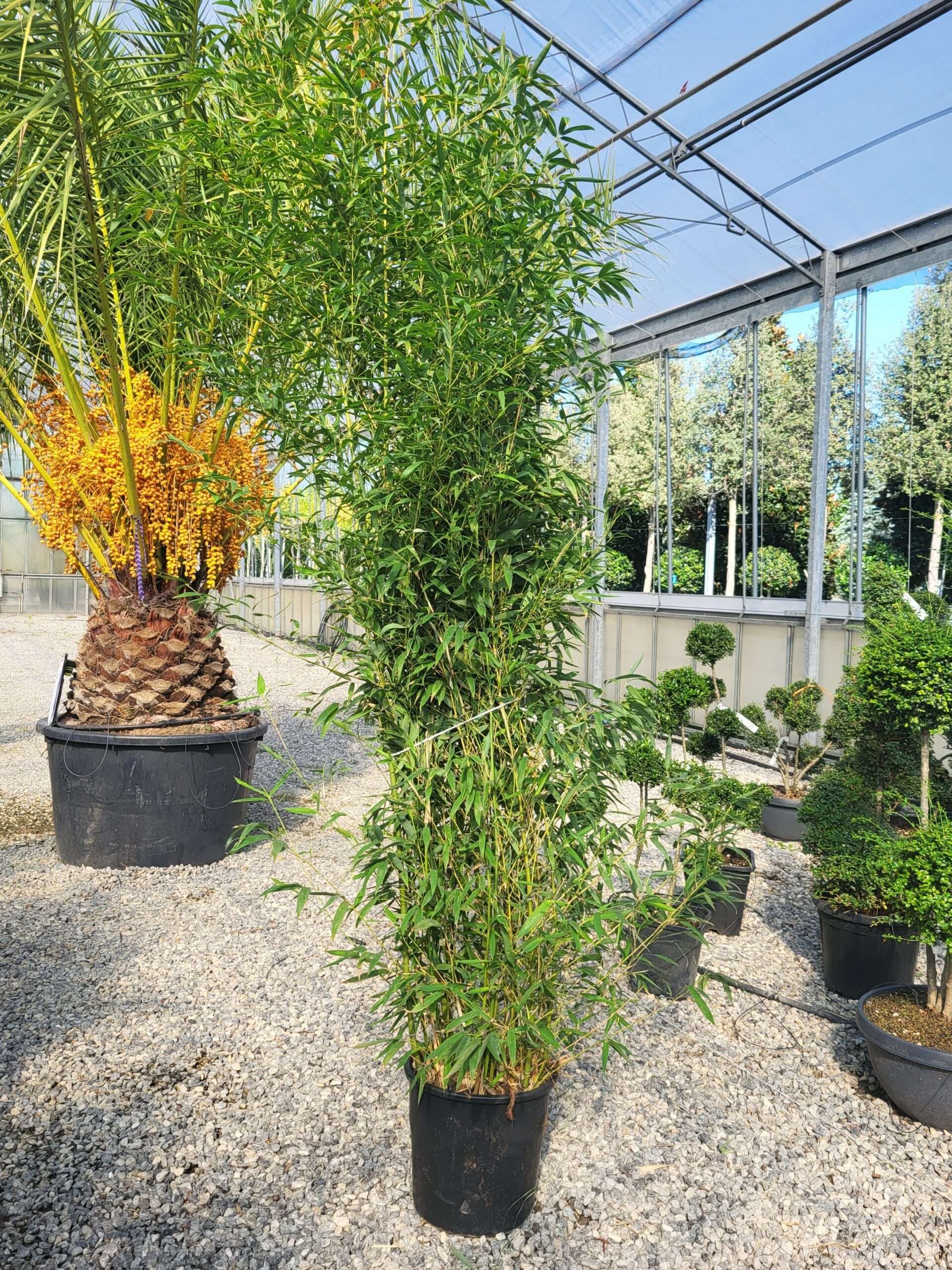 1696326395 scaled 2fb2e148